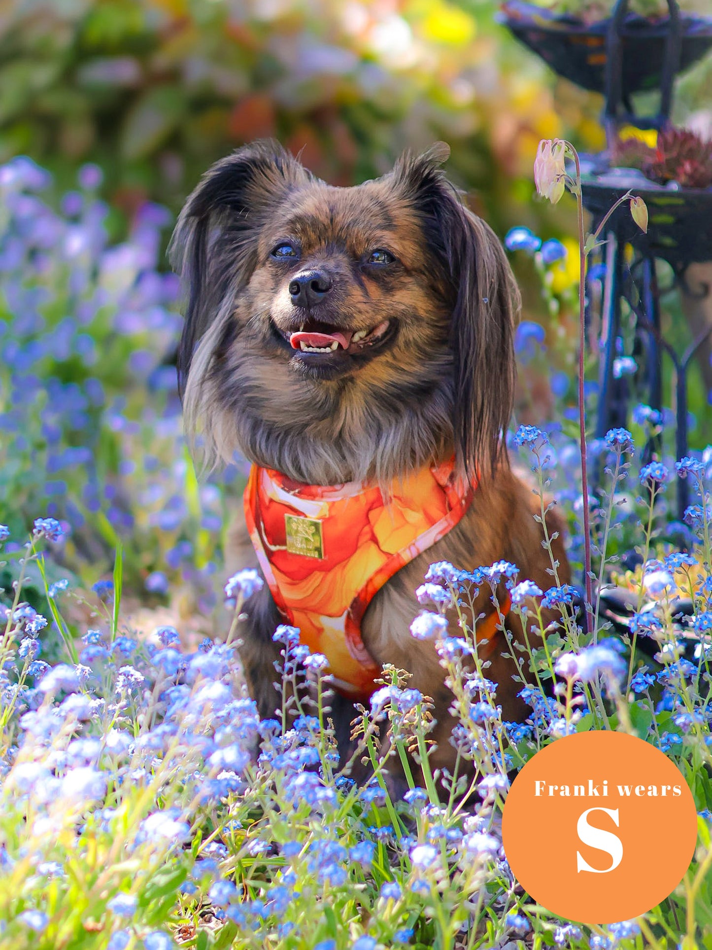 Sunset Agate  Deluxe Adjustable Harness & Lead Bundle