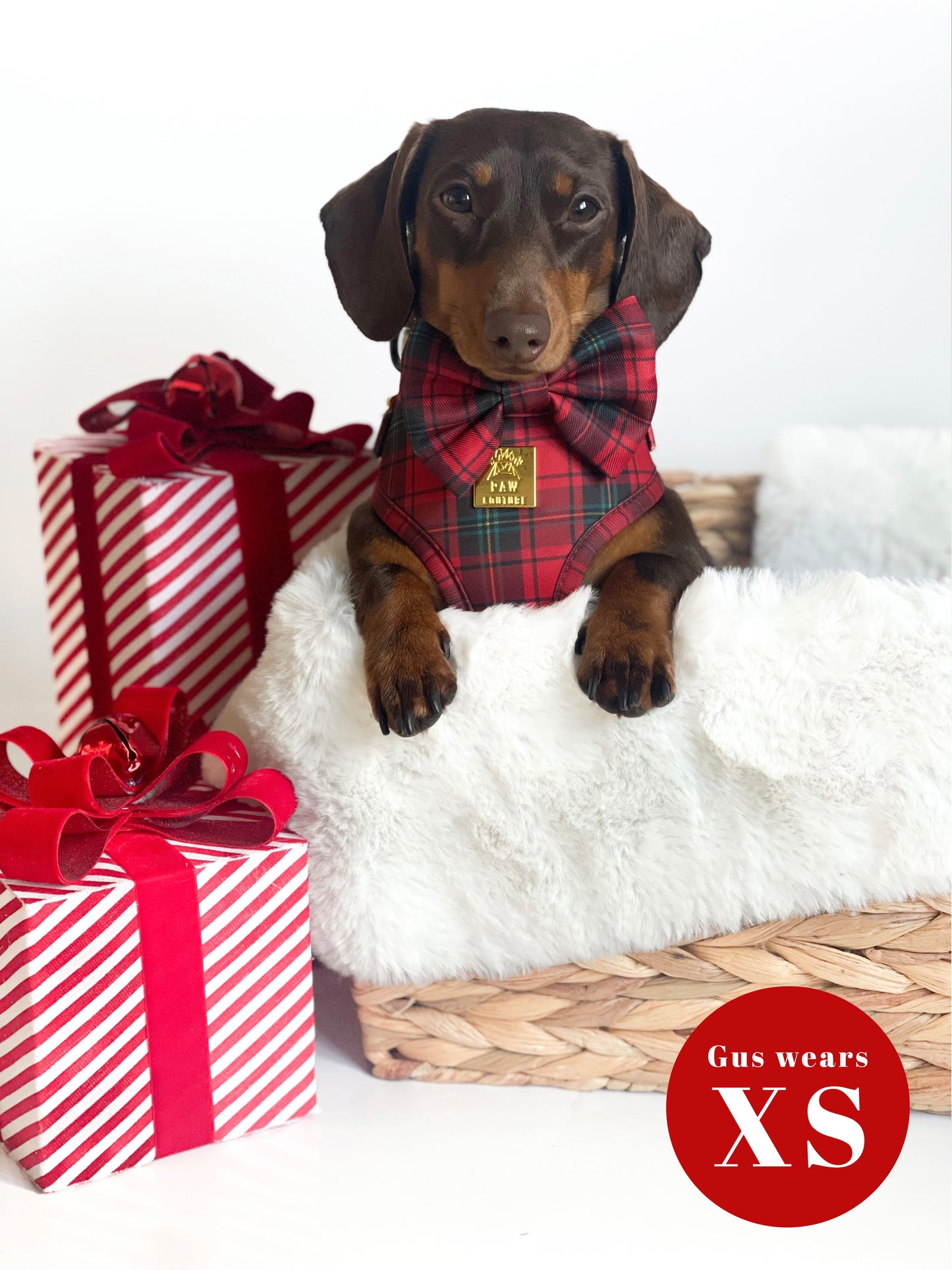 Tartan Deluxe Adjustable Harness