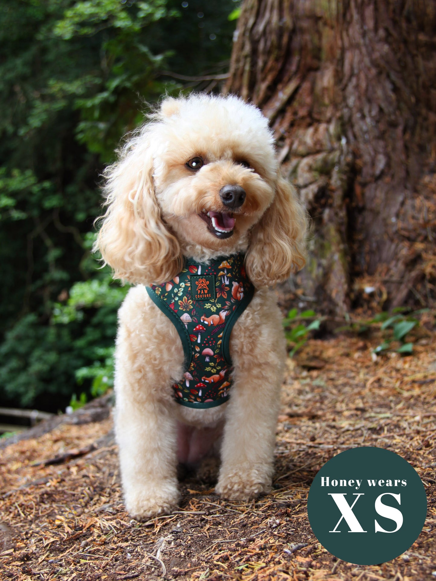 Into The Woods Adjustable Harness & Lead Bundle