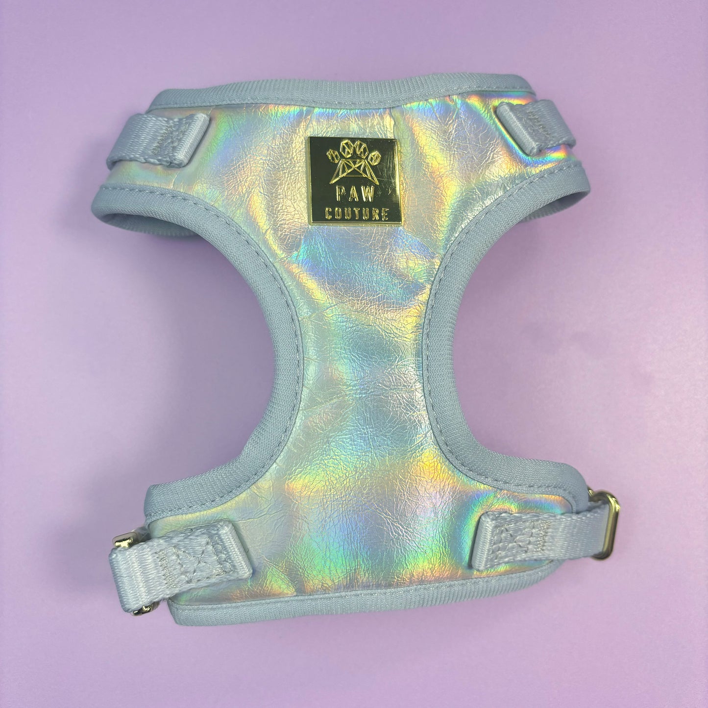 Disco Deluxe Iridescent Leatherette Adjustable Harness & Lead Bundle