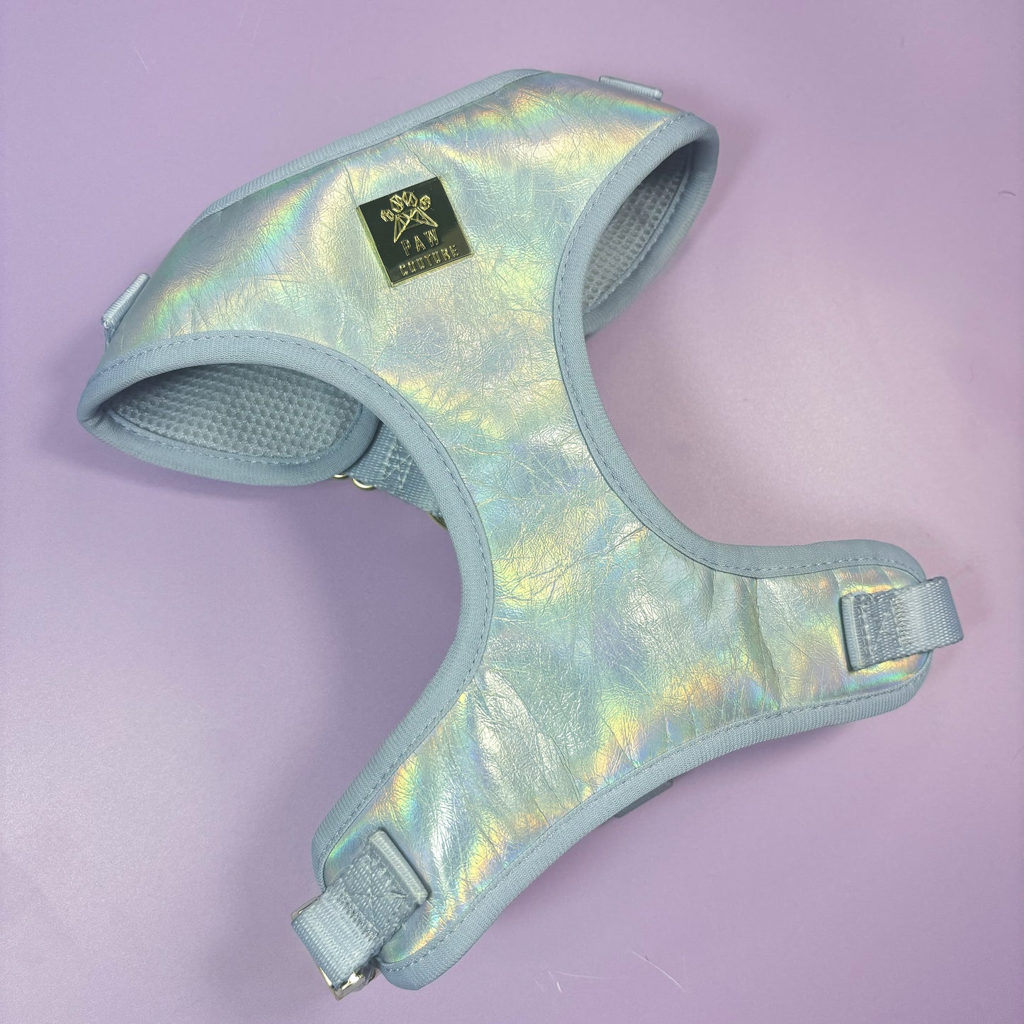Disco Deluxe Iridescent Leatherette Adjustable Harness & Lead Bundle
