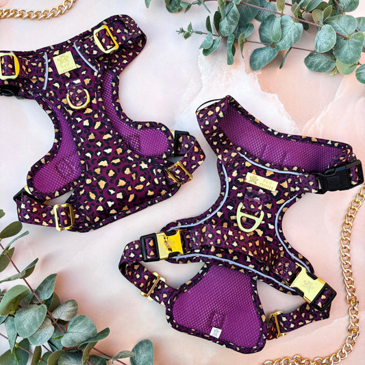 Amethyst Safari Deluxe TrailBlazer Harness