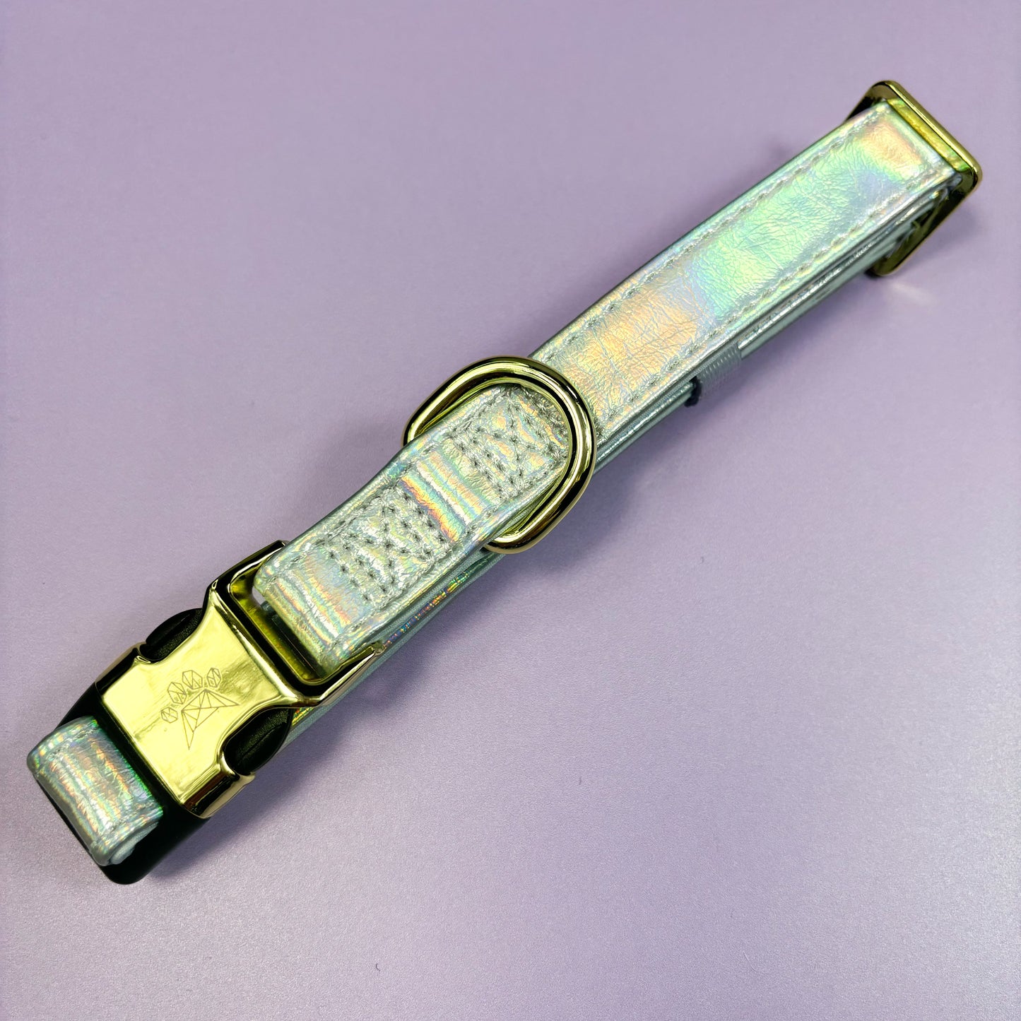 Disco Deluxe  - Iridescent Leatherette Collar & Lead Bundle Occasionwear