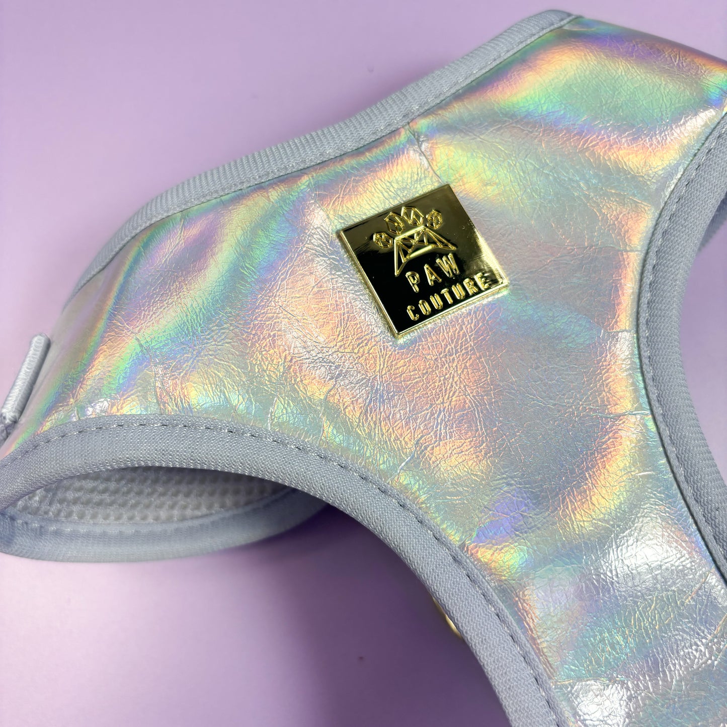 Disco Deluxe Iridescent Leatherette Adjustable Harness & Lead Bundle