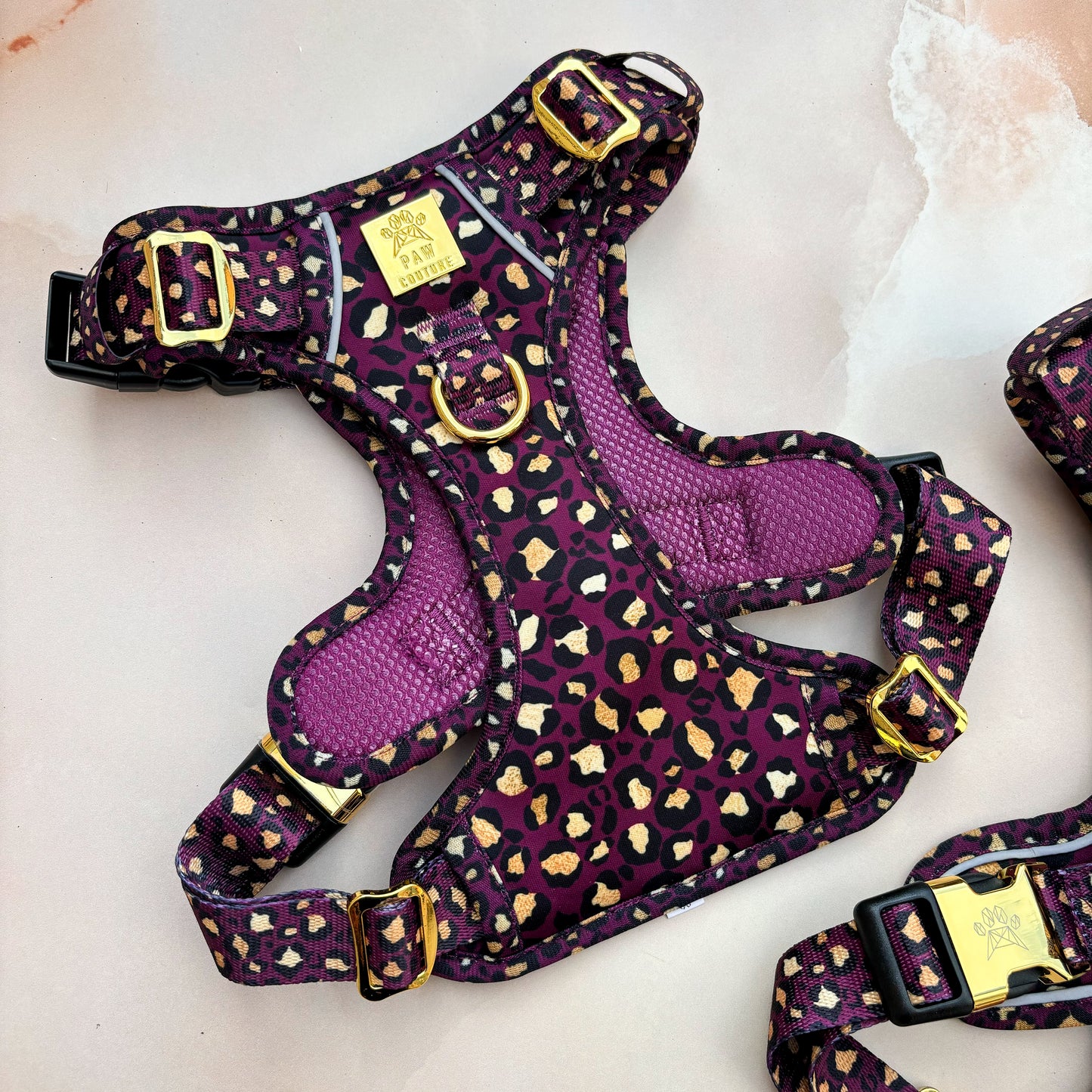 Amethyst Safari Deluxe Hercules Harness & Lead Bundle