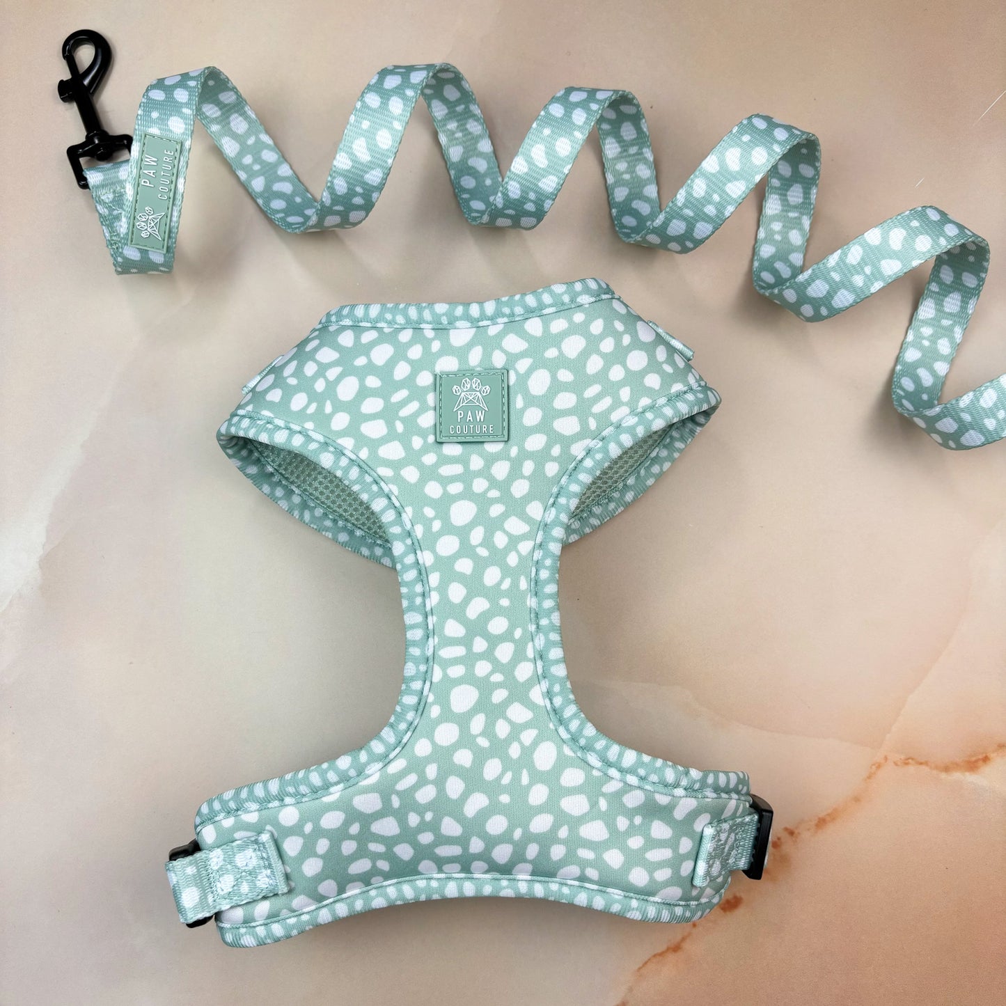 Wild Sage Adjustable Harness & Lead Bundle
