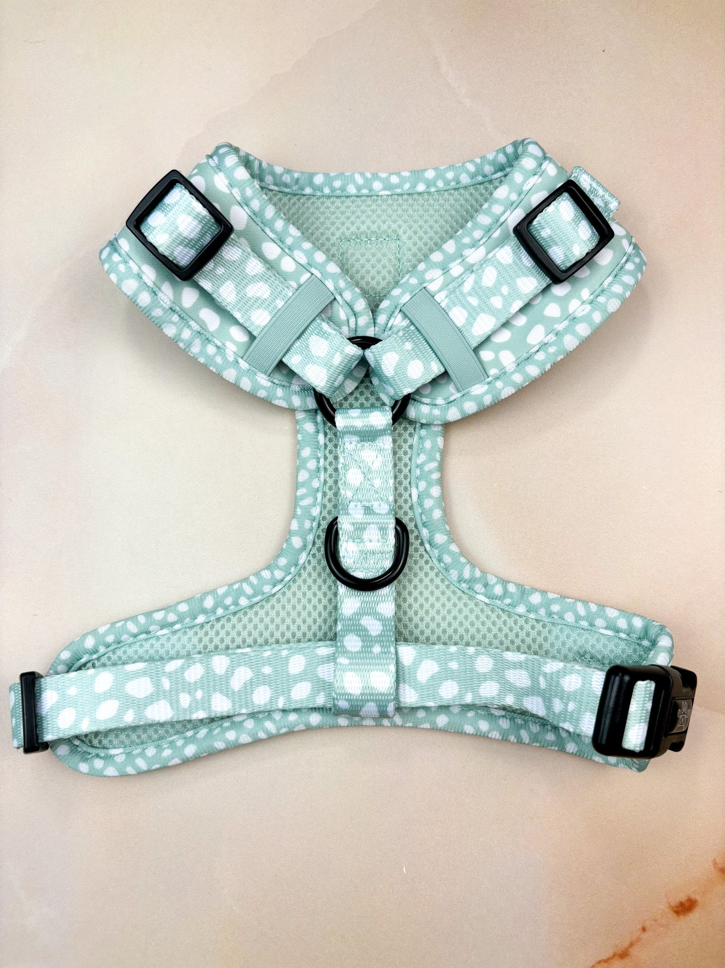 Wild Sage Adjustable Harness & Lead Bundle