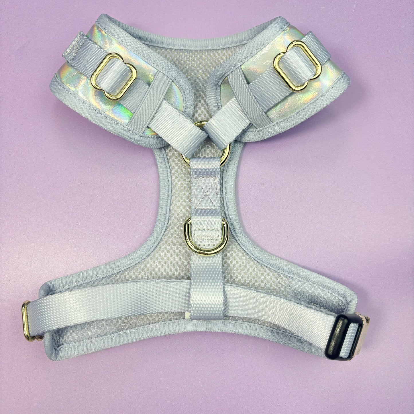 Disco Deluxe Iridescent Leatherette Adjustable Harness & Lead Bundle