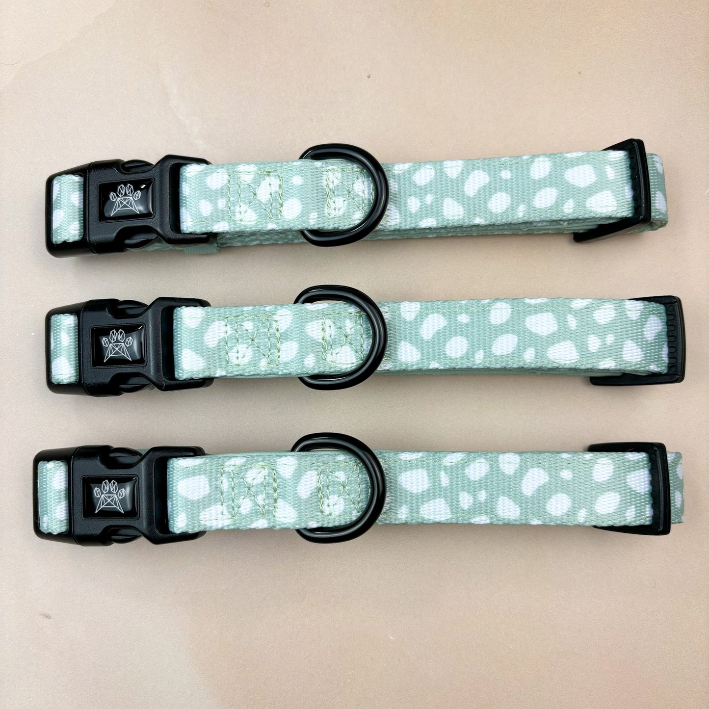 Wild Sage - Collar & Lead Bundle