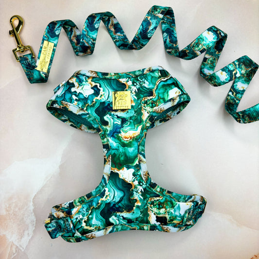 Geode Deluxe Adjustable Harness & Lead Bundle