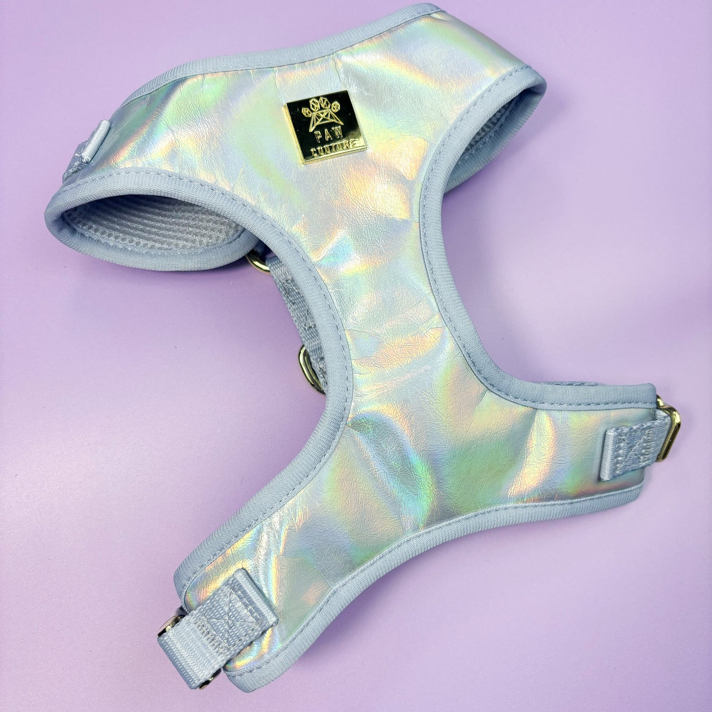 Disco Deluxe Iridescent Leatherette Adjustable Harness & Lead Bundle