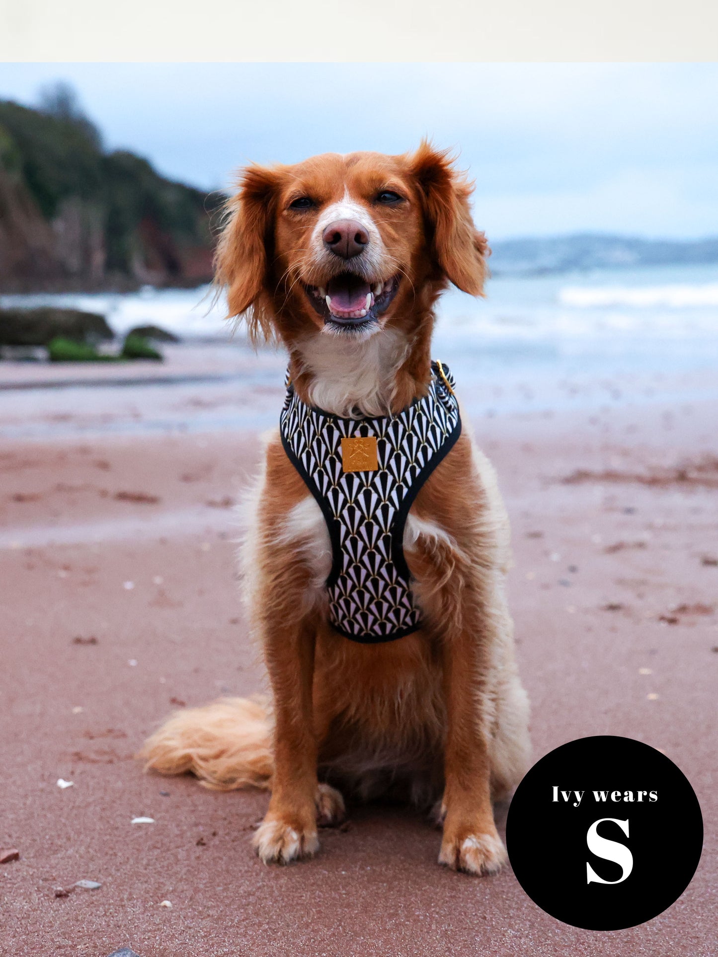 Gatsby Deluxe Adjustable Harness & Lead Bundle
