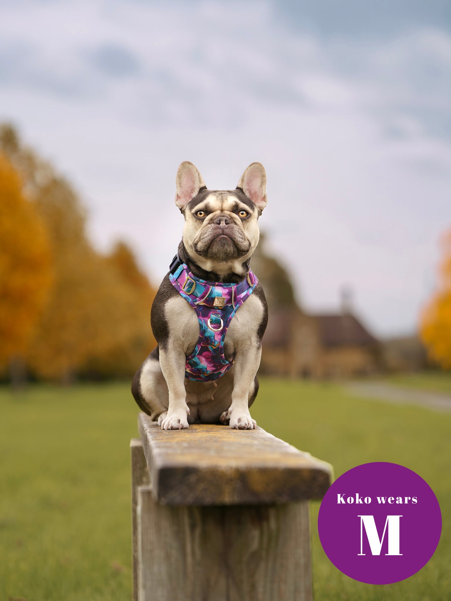 Cosmos Deluxe Five Piece Walkies Bundle - Save £20