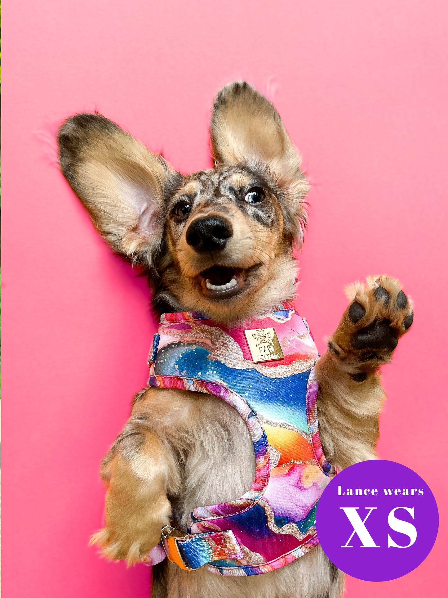 Rainbow Agate Deluxe Adjustable Harness