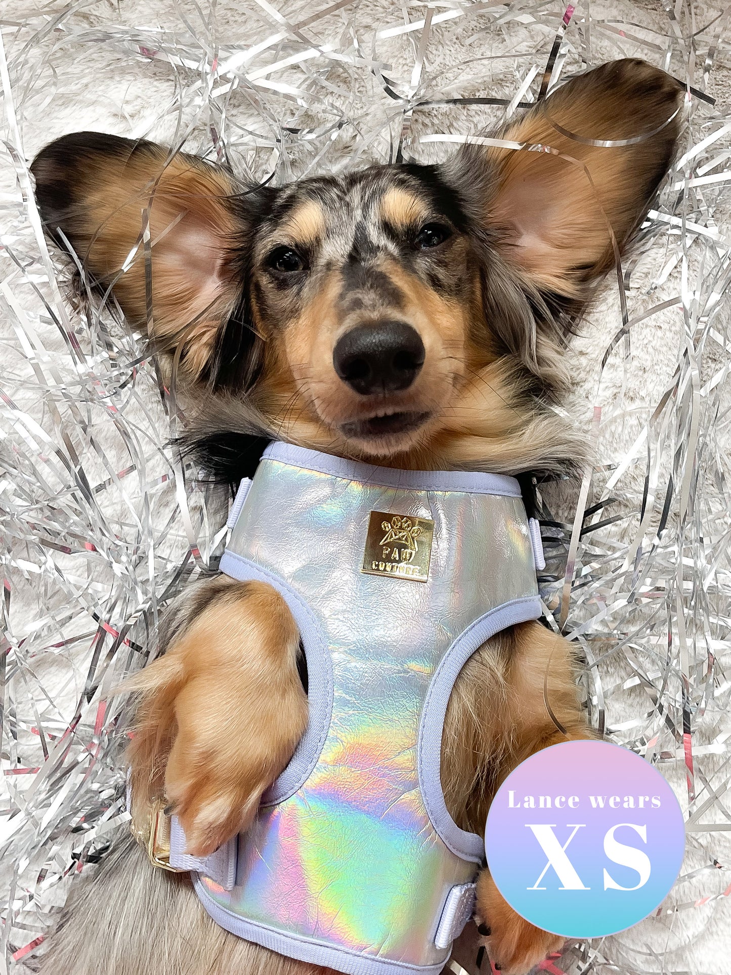 Disco Deluxe Iridescent Leatherette Adjustable Harness & Lead Bundle
