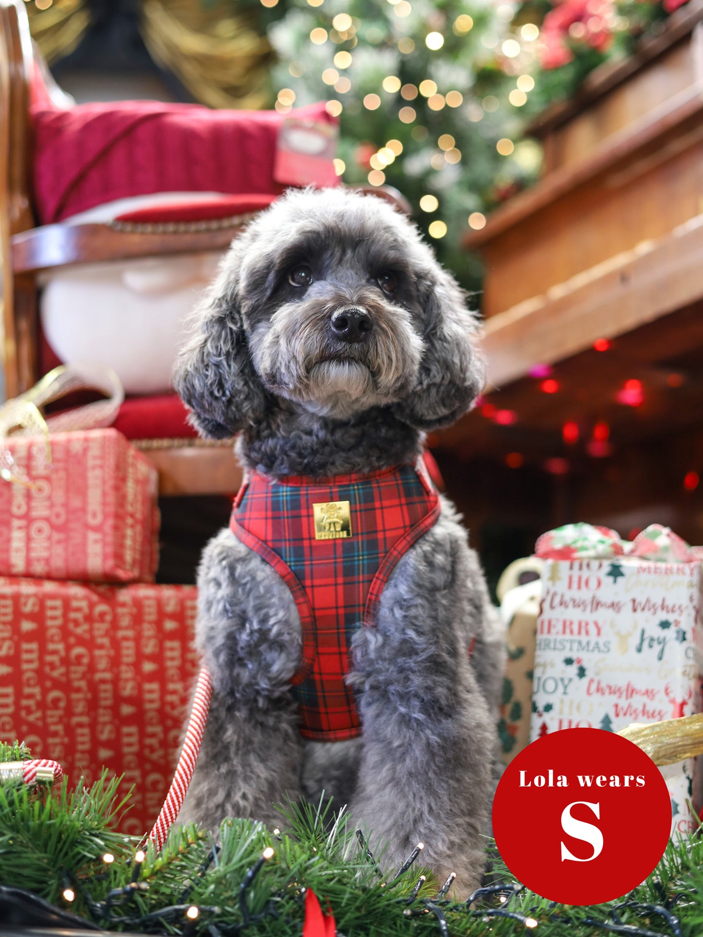 Tartan Deluxe Adjustable Harness