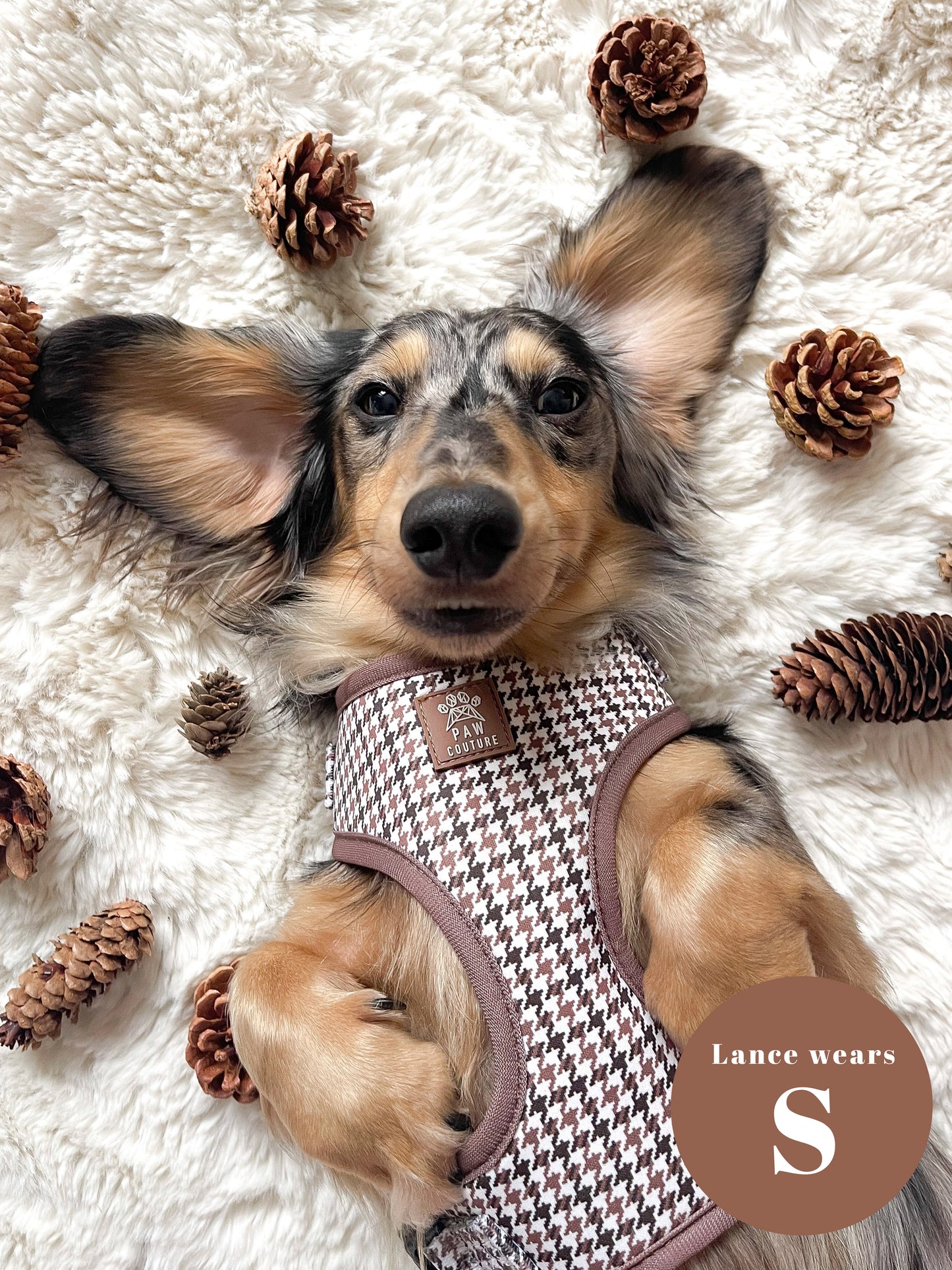 Country Houndstooth Adjustable Harness & Lead Bundle