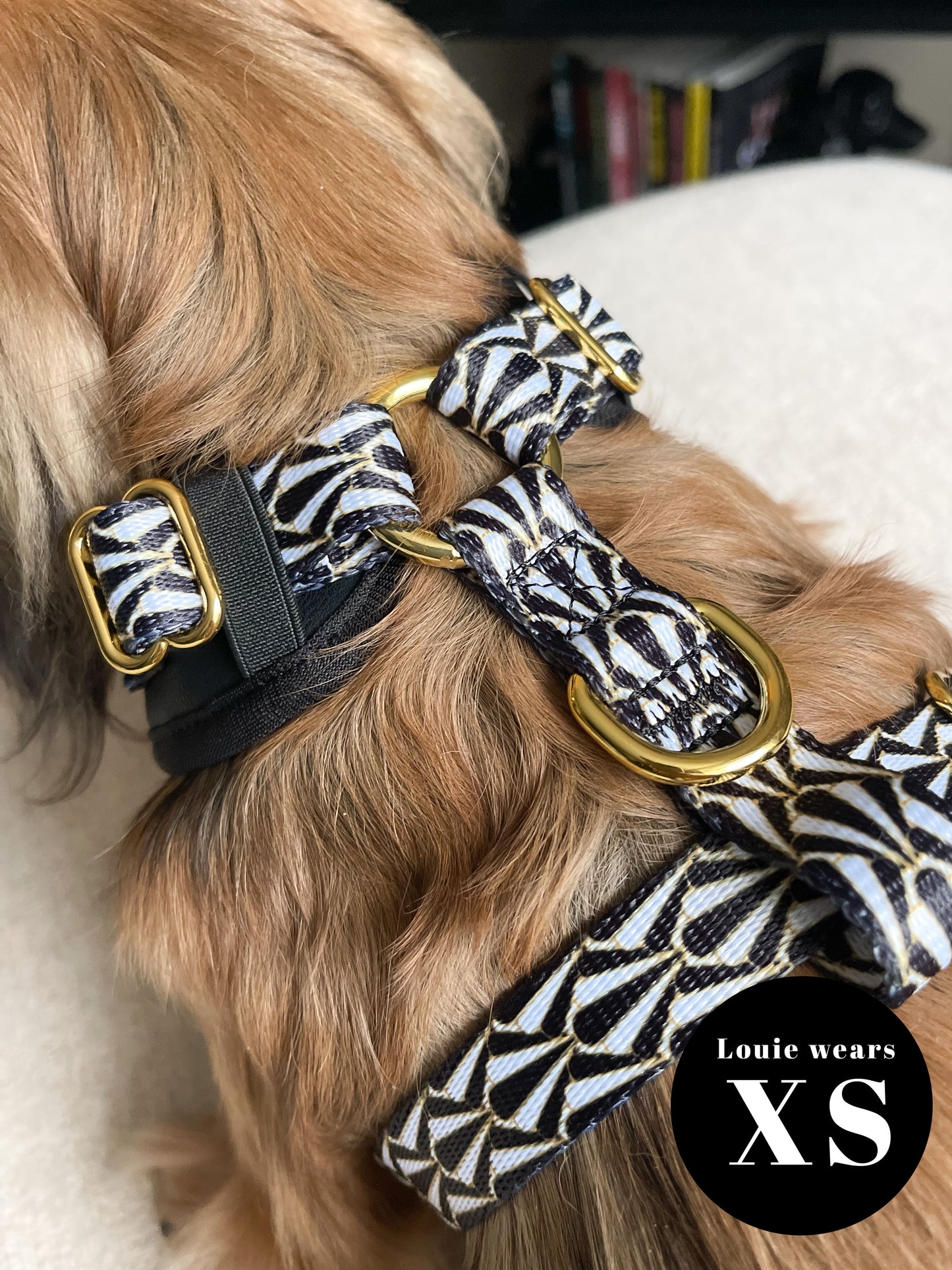 Gatsby Deluxe Adjustable Harness & Lead Bundle