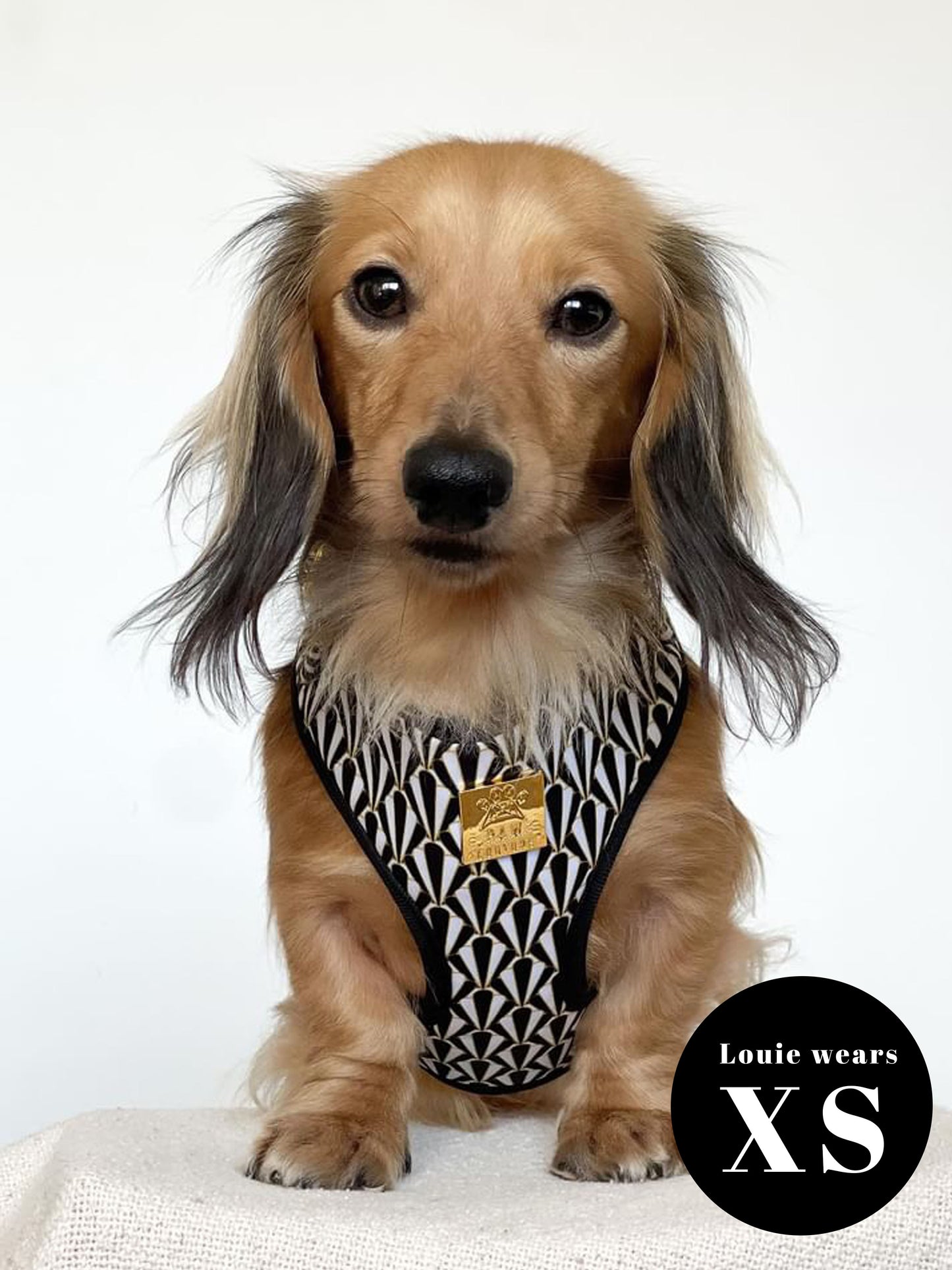 Gatsby Deluxe Adjustable Harness & Lead Bundle