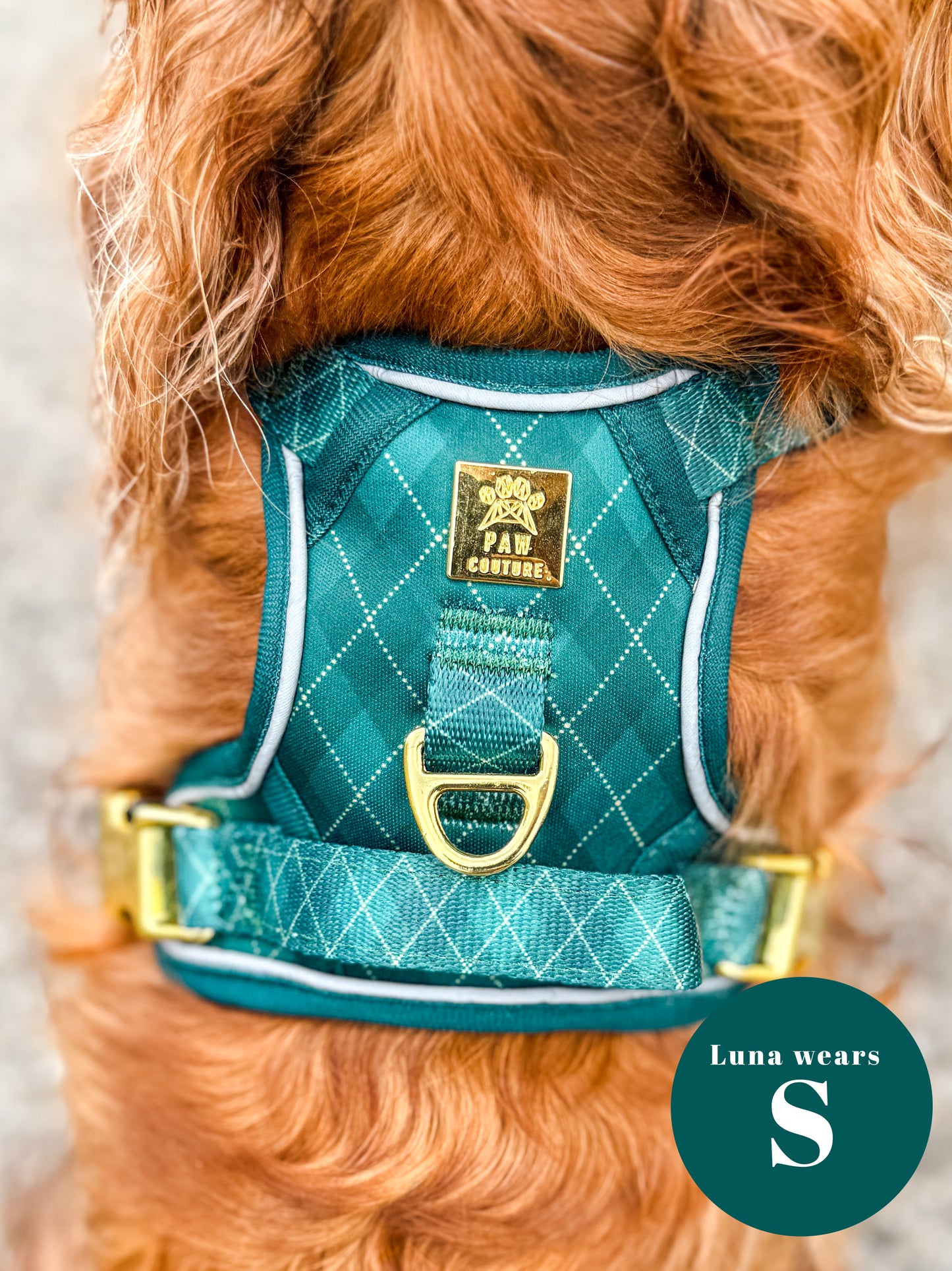 Argyle Deluxe TrailBlazer Harness