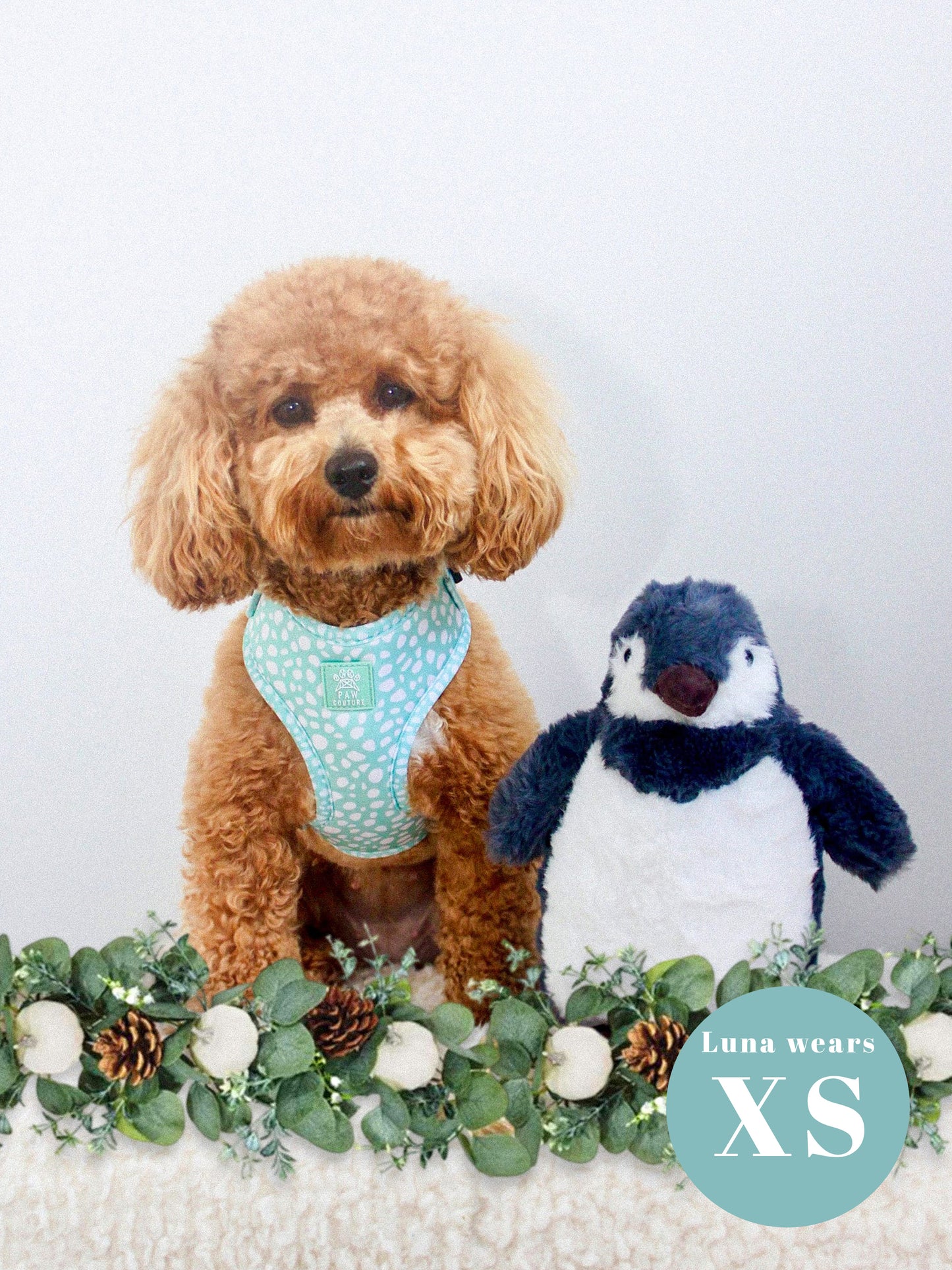 Wild Sage Five Piece Walkies Bundle - Save £25