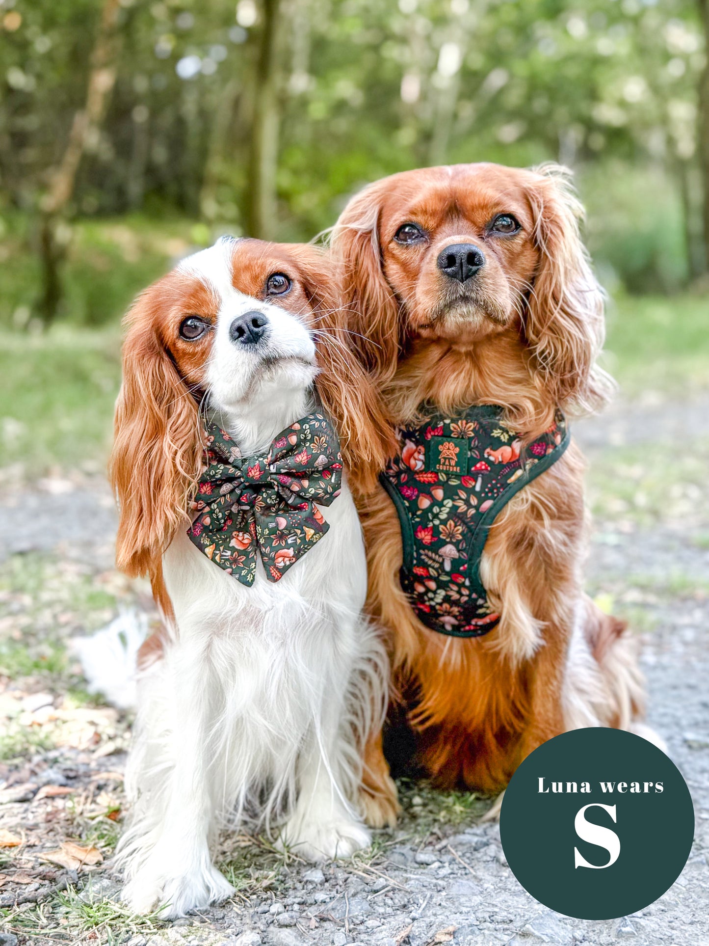 Into The Woods Adjustable Harness & Lead Bundle