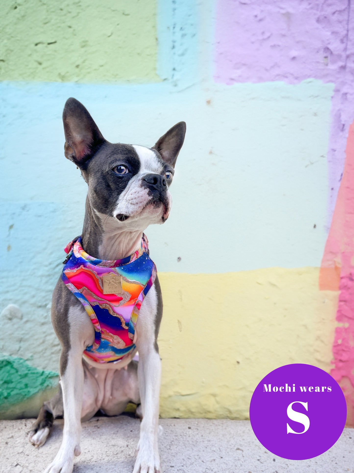 Rainbow Agate Deluxe Adjustable Harness