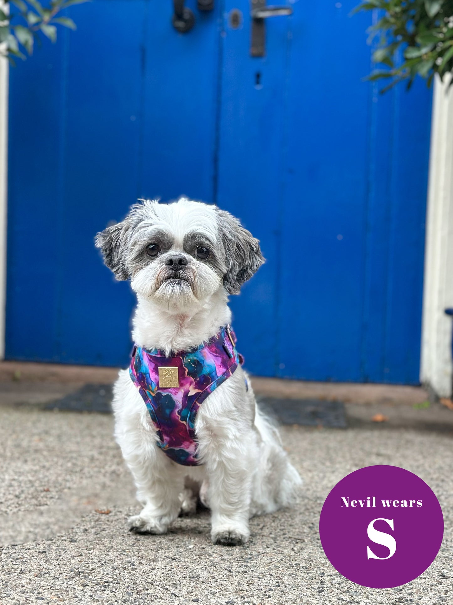 Cosmos Deluxe Adjustable Harness