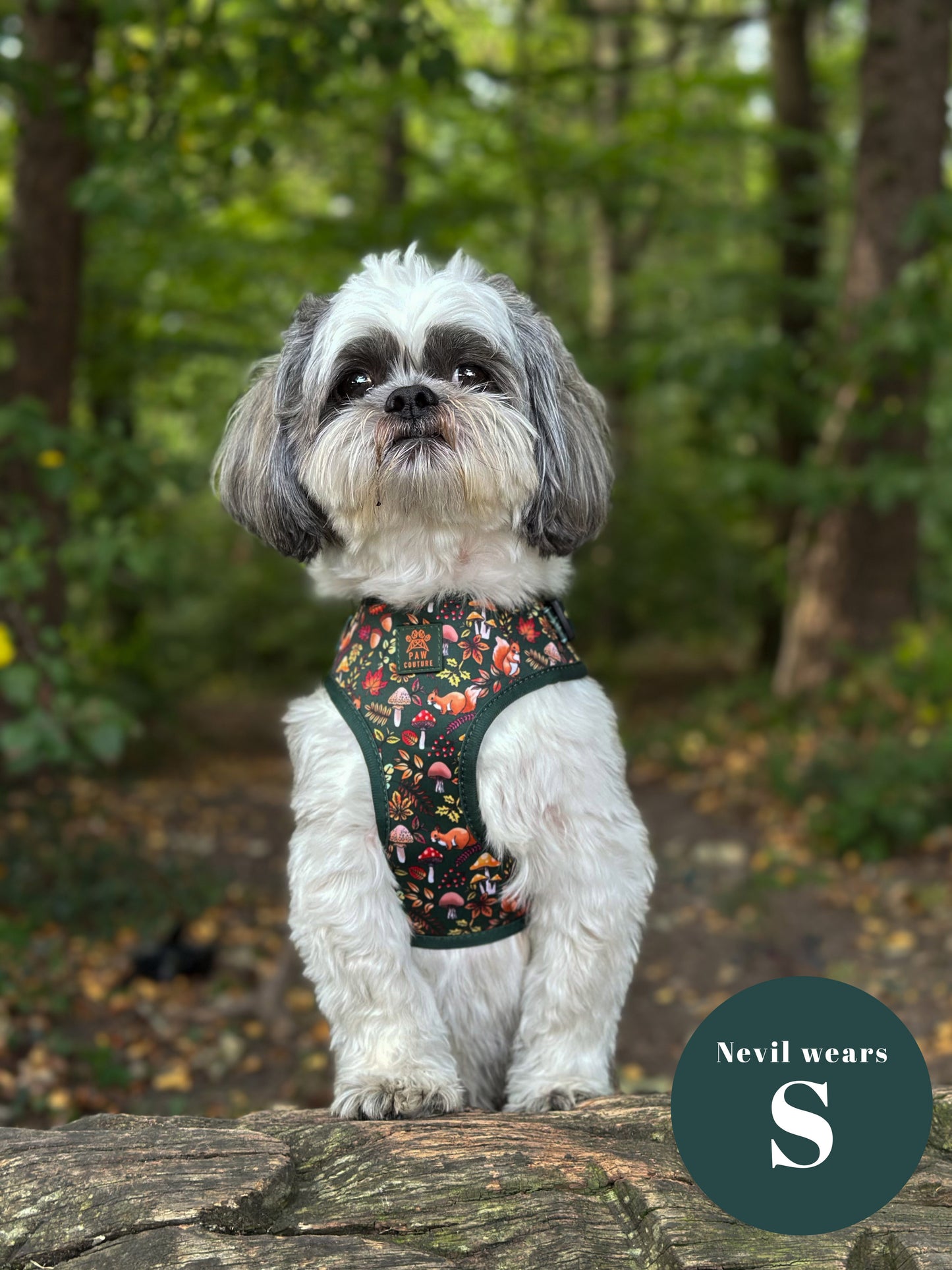 Into The Woods Adjustable Harness & Lead Bundle