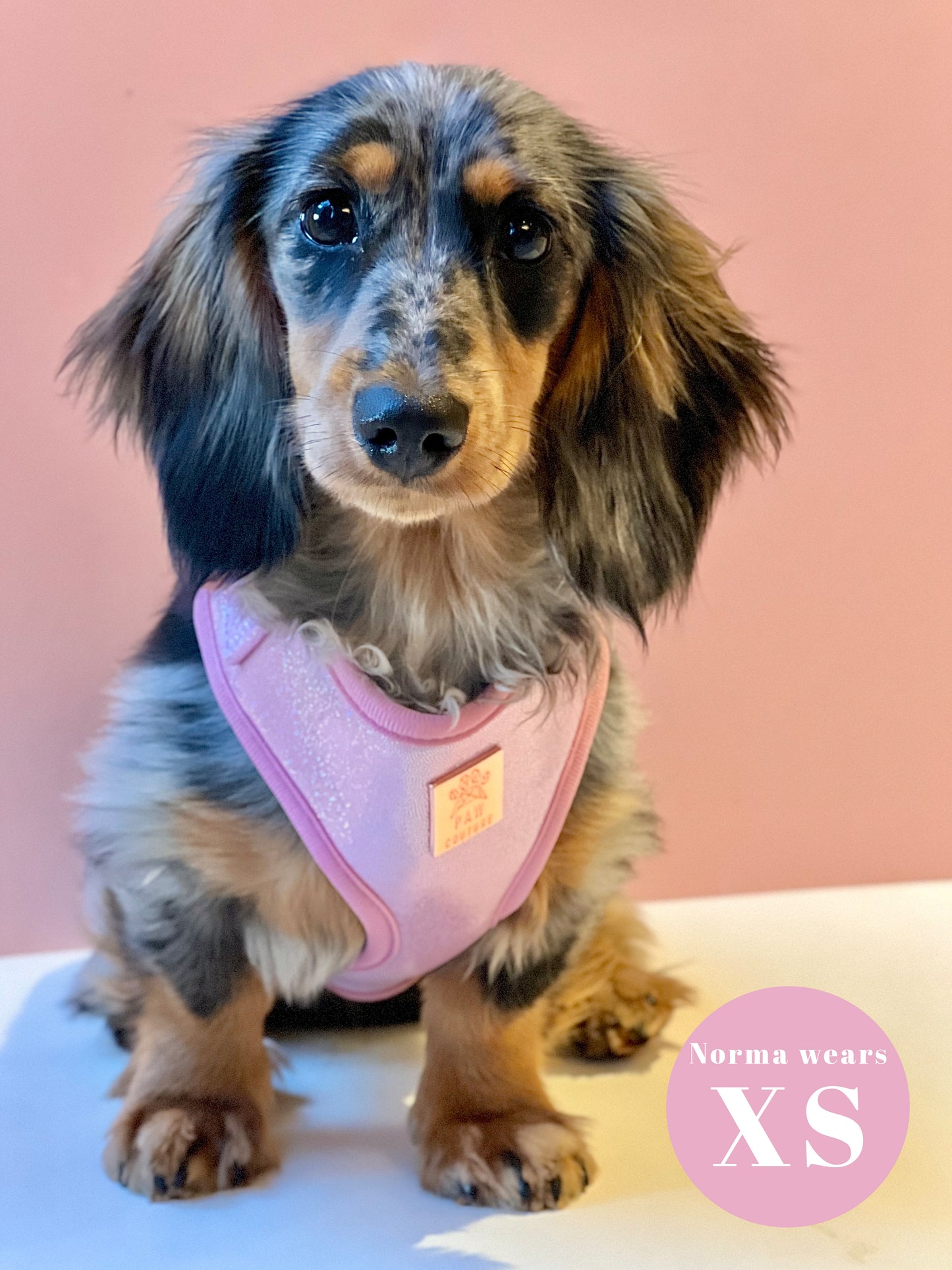 Pink Champagne Party Deluxe Adjustable Harness