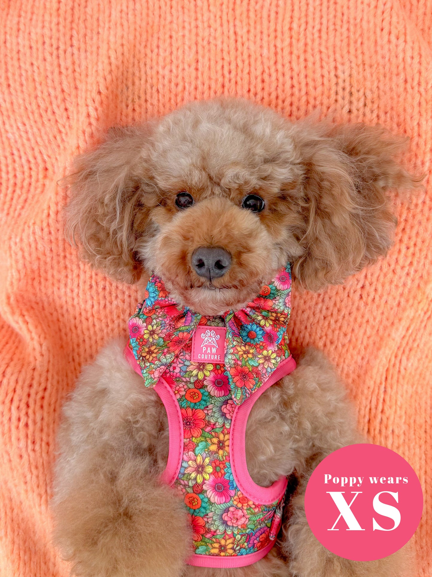 Floral Fiesta Adjustable Harness & Lead Bundle