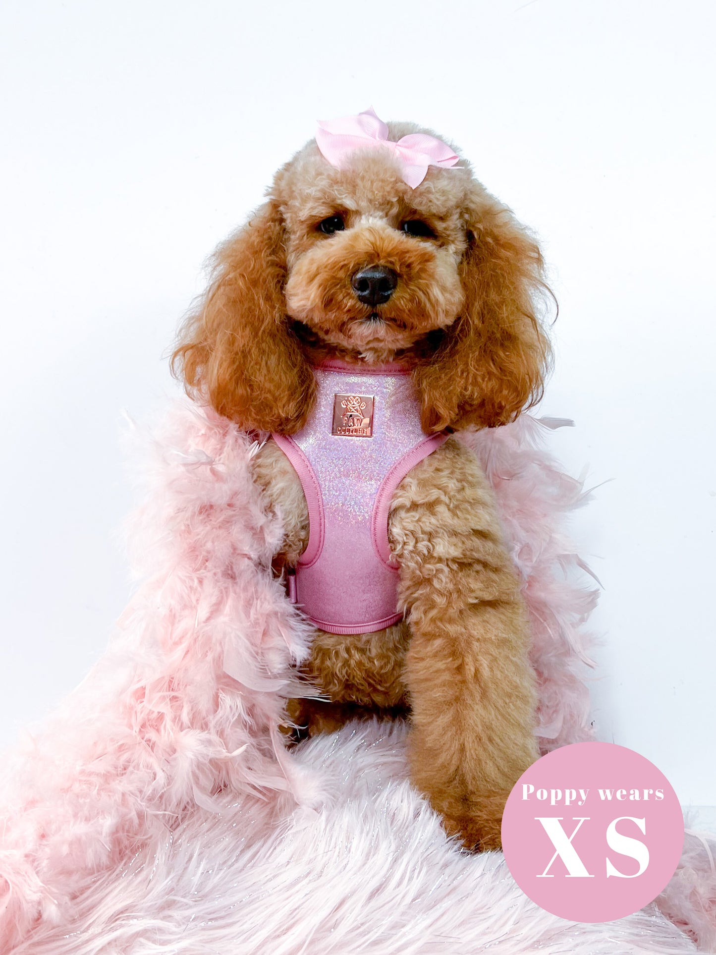 Pink Champagne Party Deluxe Adjustable Harness