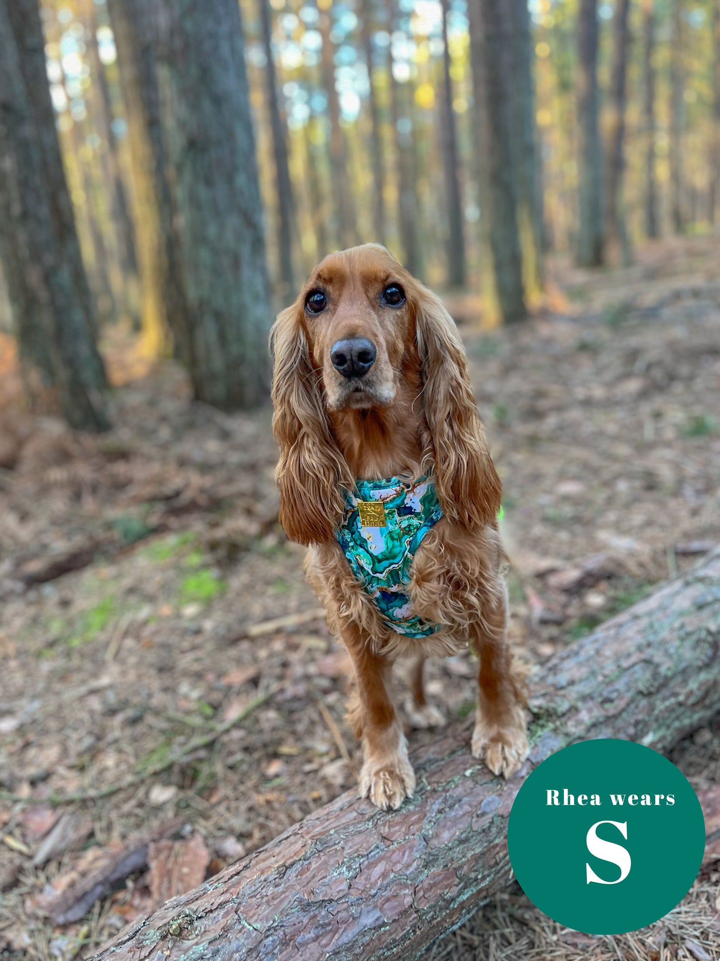 Geode Deluxe Adjustable Harness & Lead Bundle