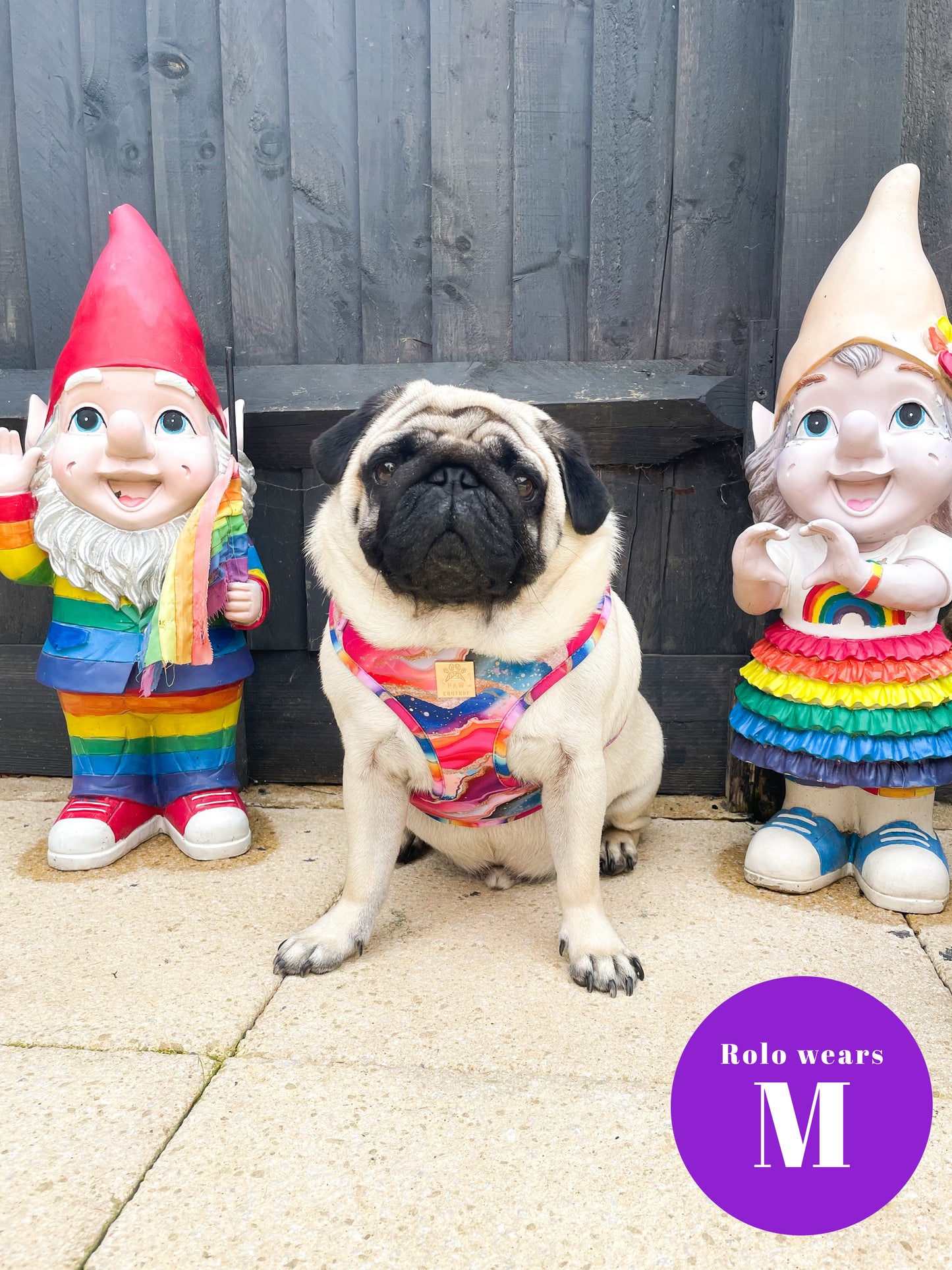 Rainbow Agate Deluxe Adjustable Harness