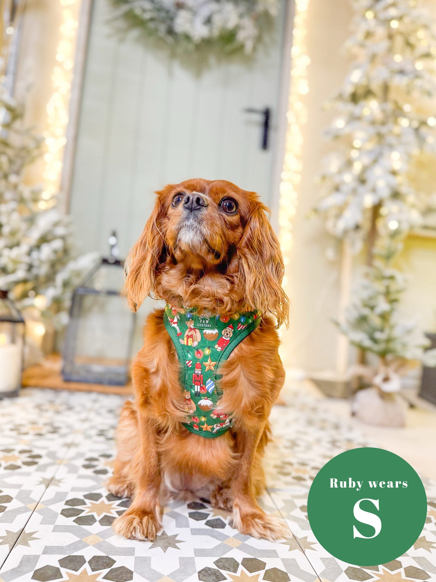 O' Christmas Tree Adjustable Harness & Lead Bundle