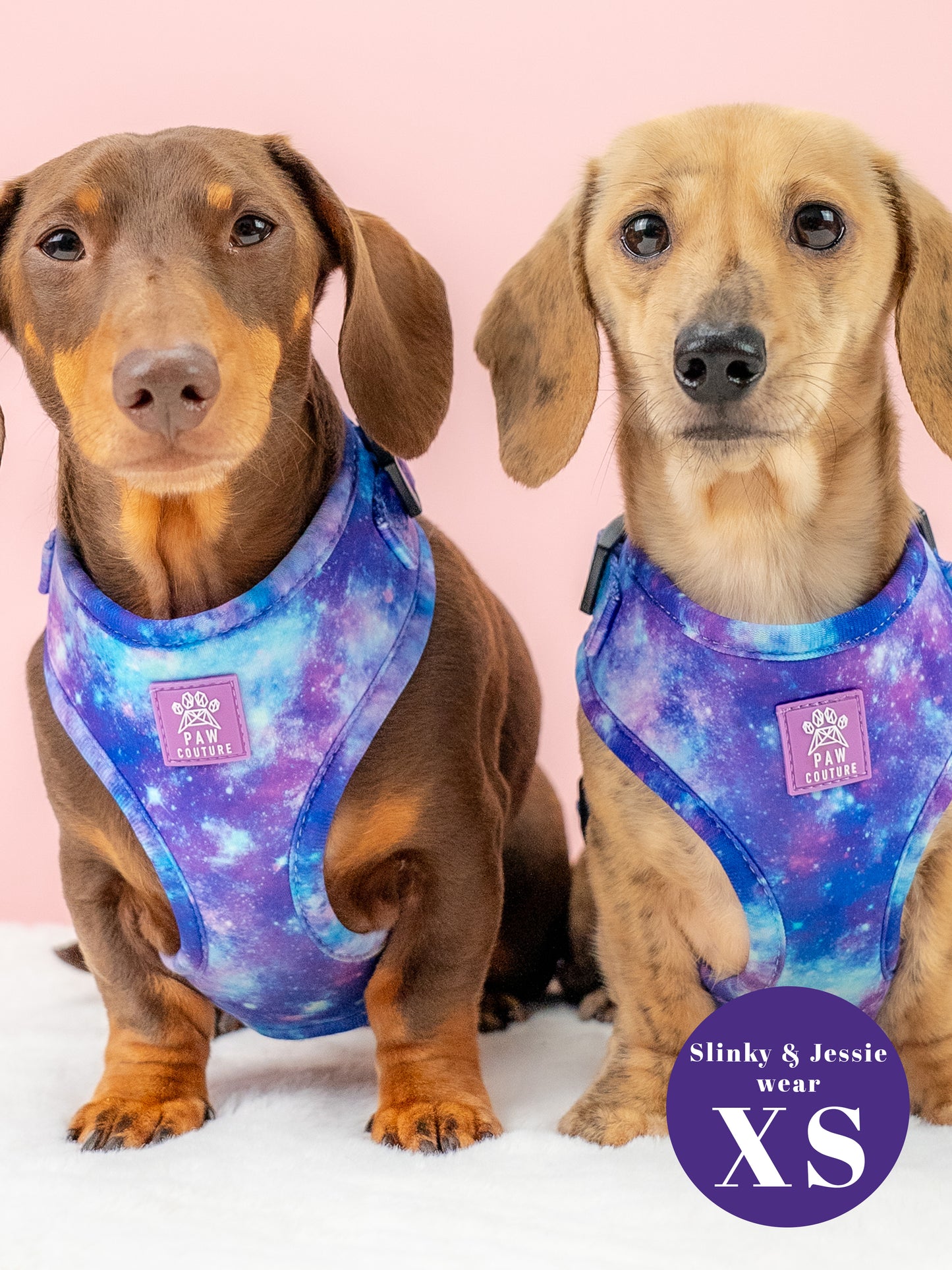 Galaxy Five Piece Walkies Bundle - Save £25