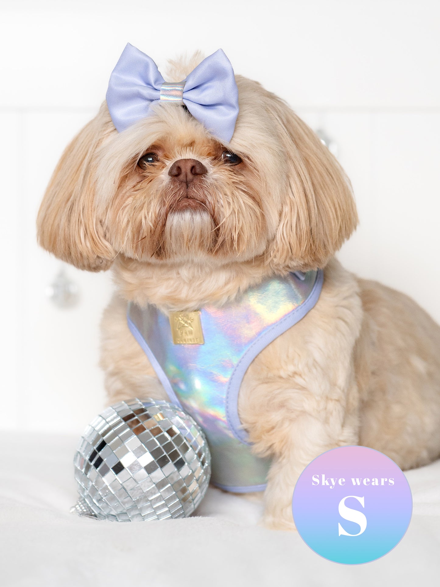 Disco Deluxe Iridescent Leatherette Adjustable Harness & Lead Bundle