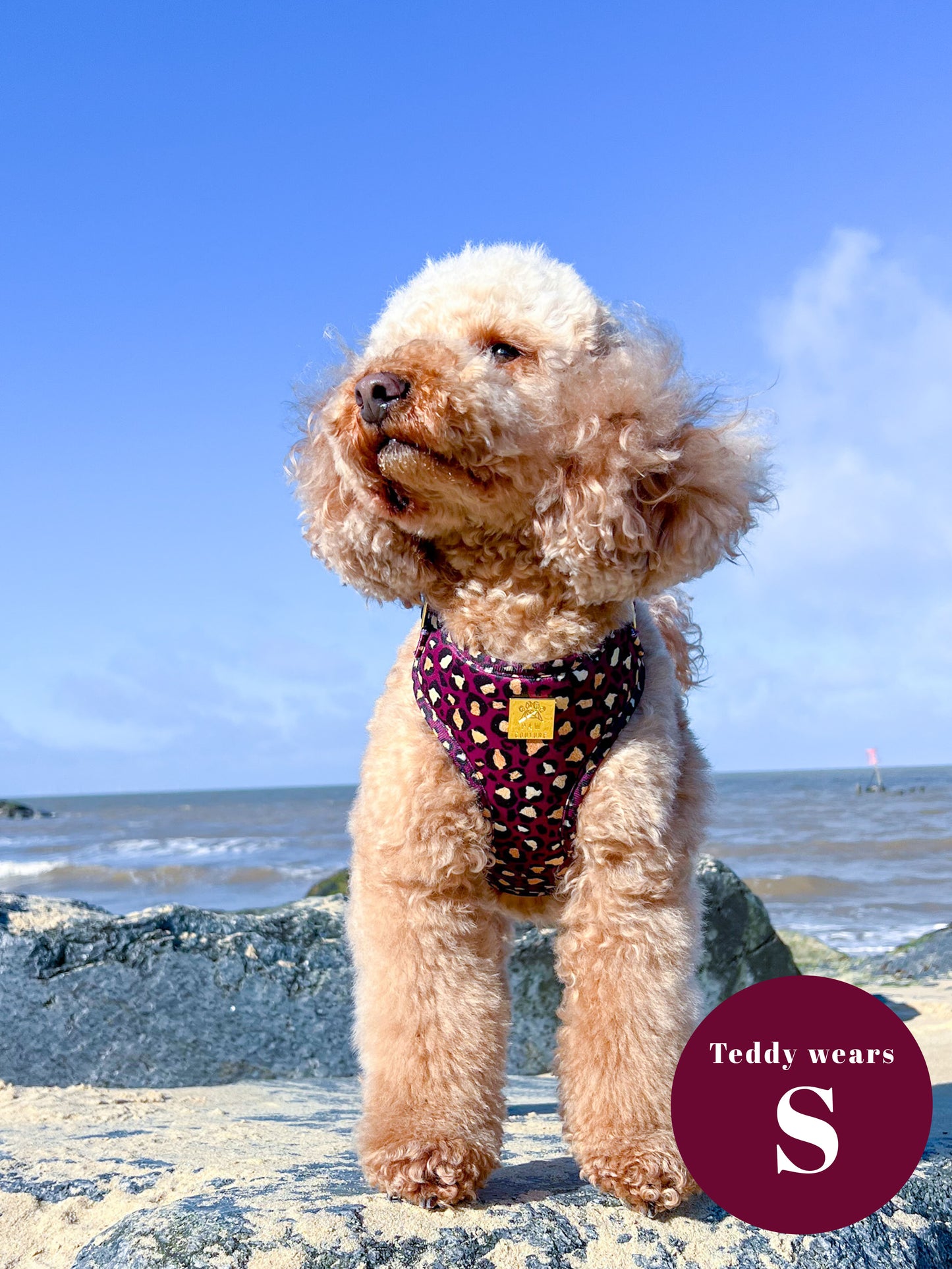 Amethyst Safari Deluxe Adjustable Harness