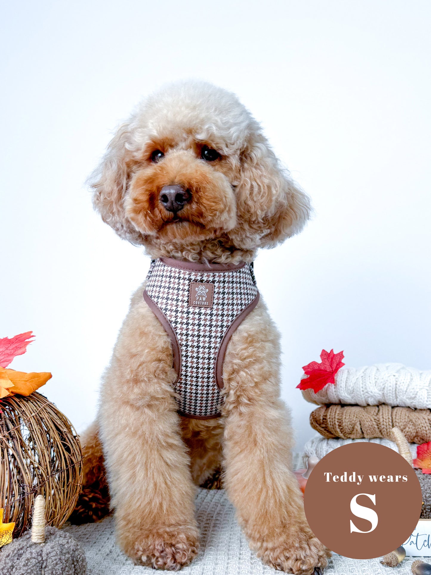 Country Houndstooth Adjustable Harness & Lead Bundle