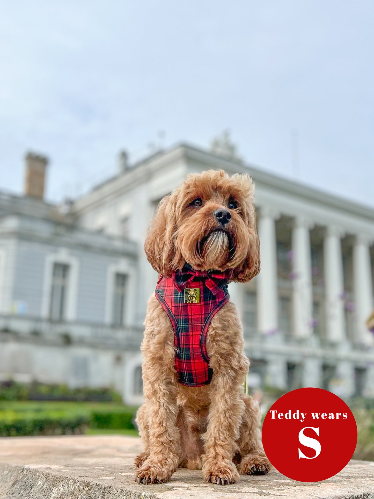 Tartan Deluxe Adjustable Harness