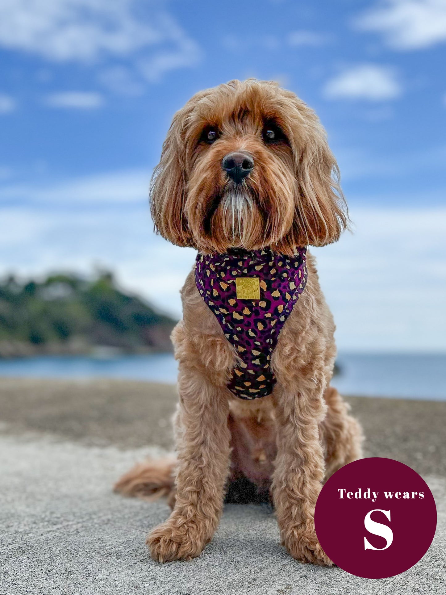 Amethyst Safari Deluxe Adjustable Harness