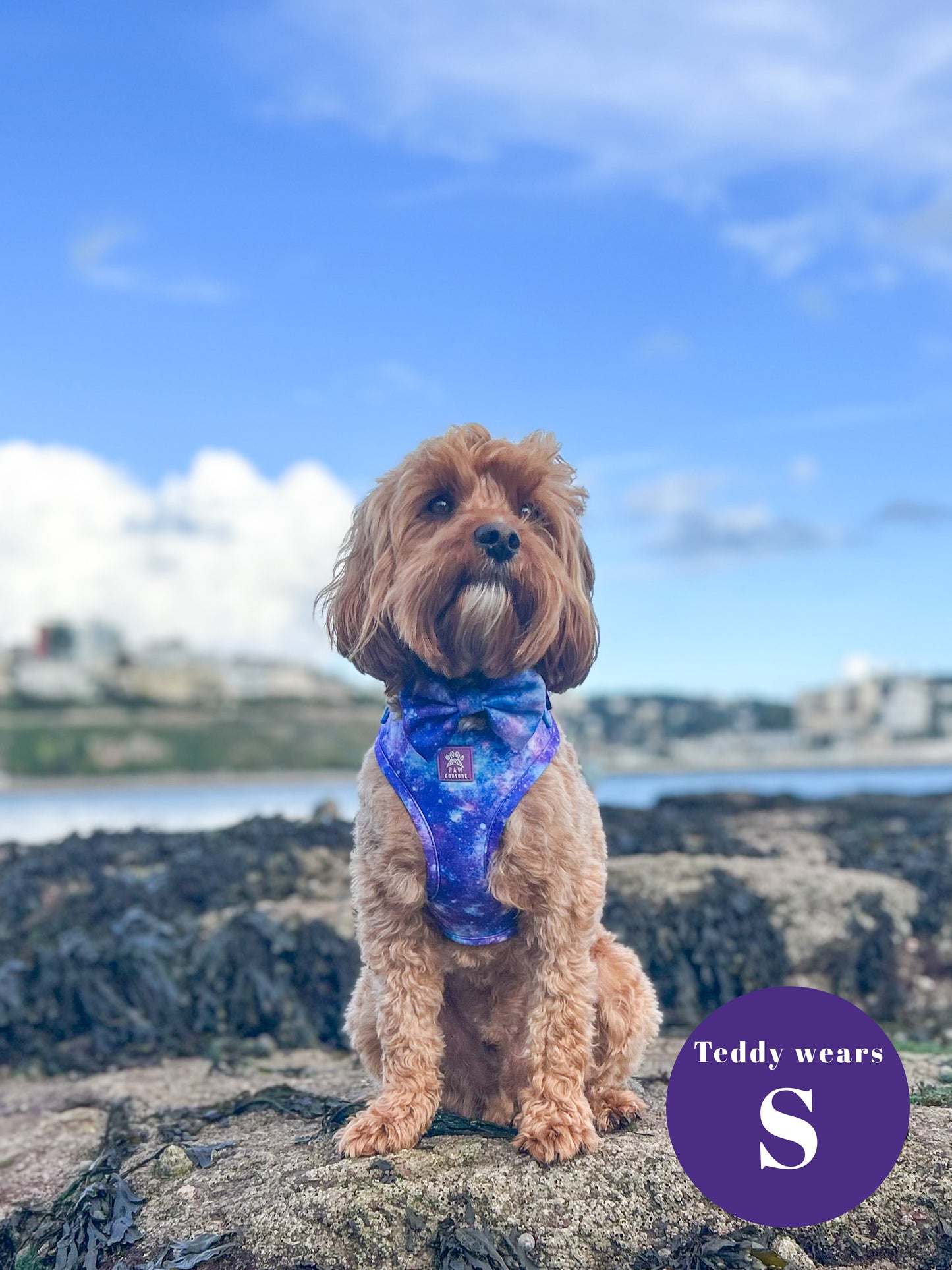 Galaxy Five Piece Walkies Bundle - Save £25
