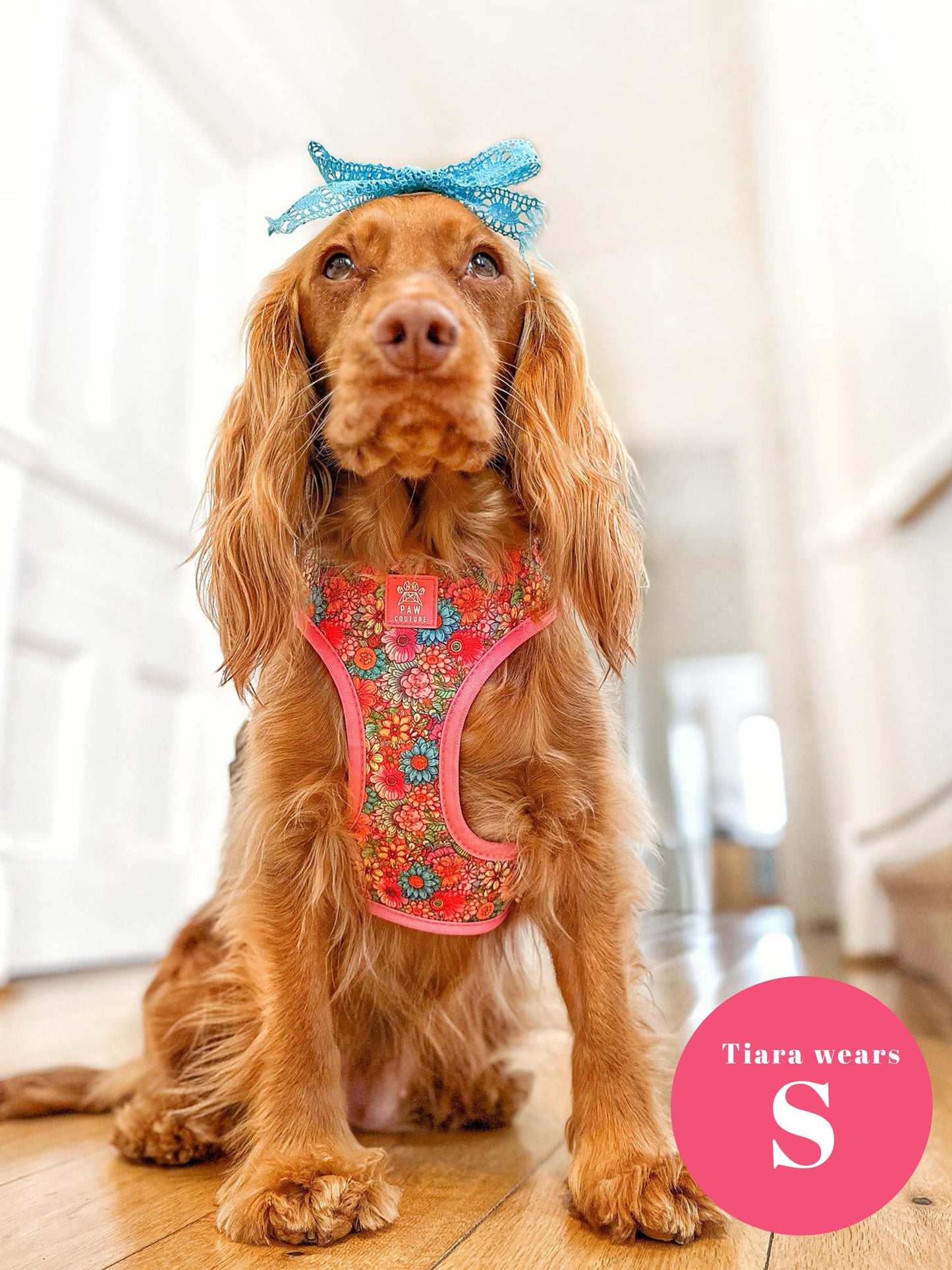 Floral Fiesta Adjustable Harness & Lead Bundle
