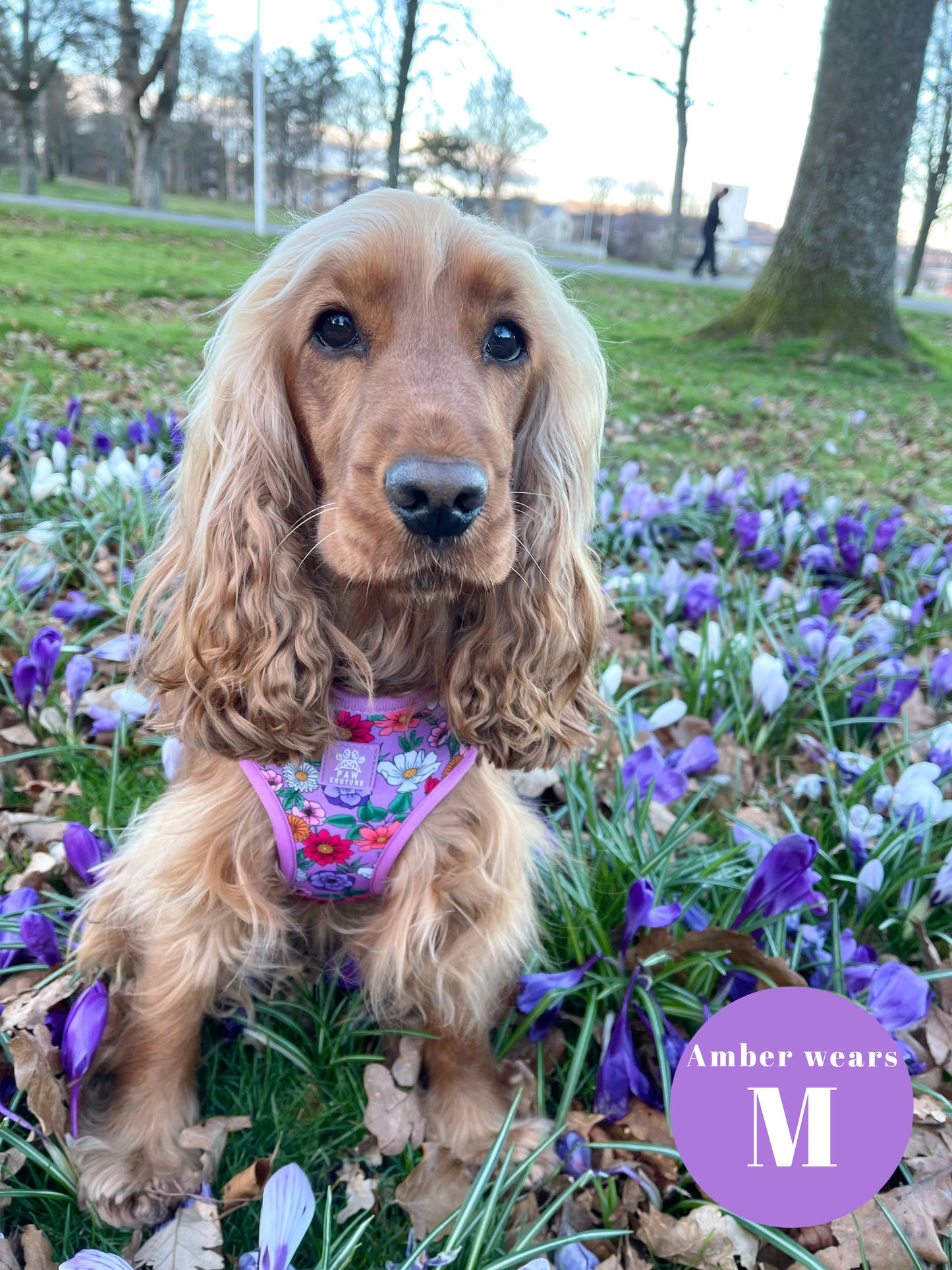 Blossom Adjustable Harness
