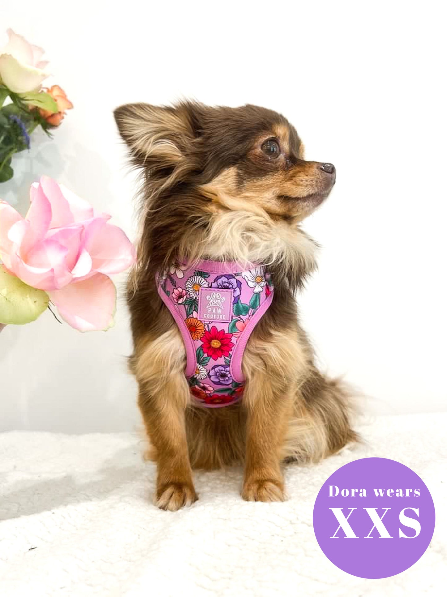 Blossom Adjustable Harness