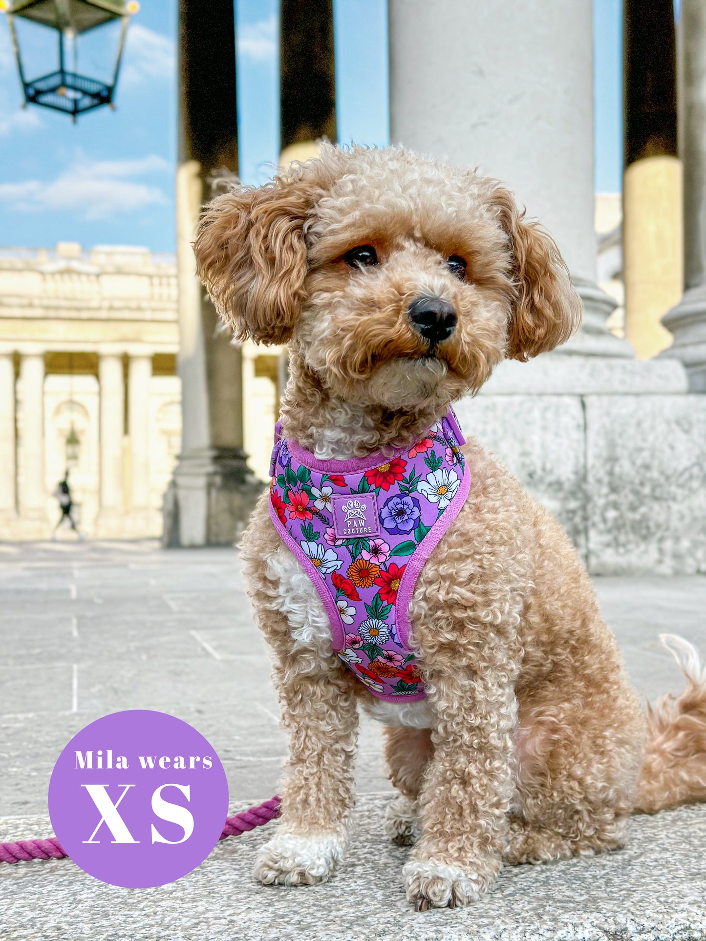 Blossom Adjustable Harness