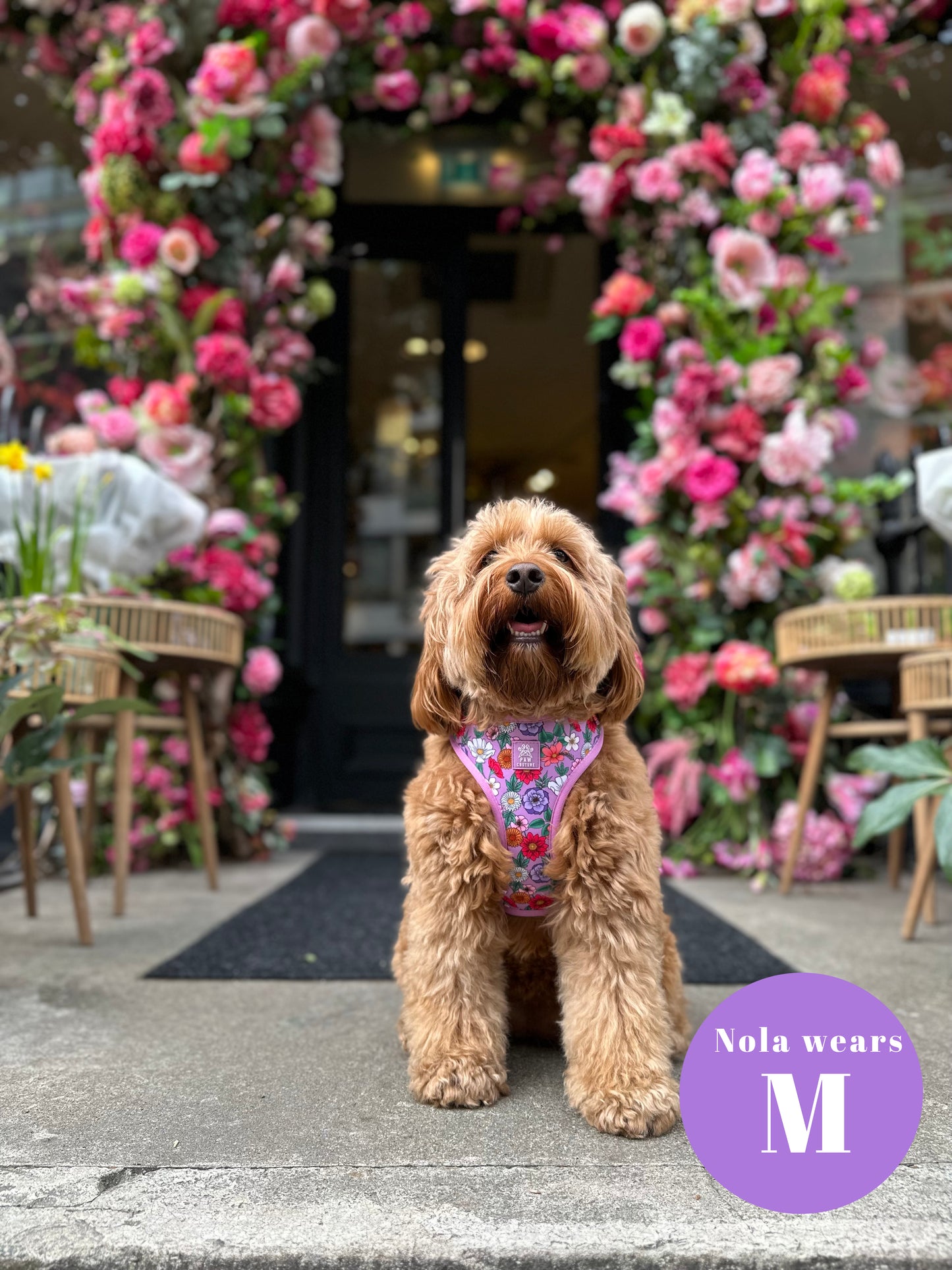 Blossom Adjustable Harness