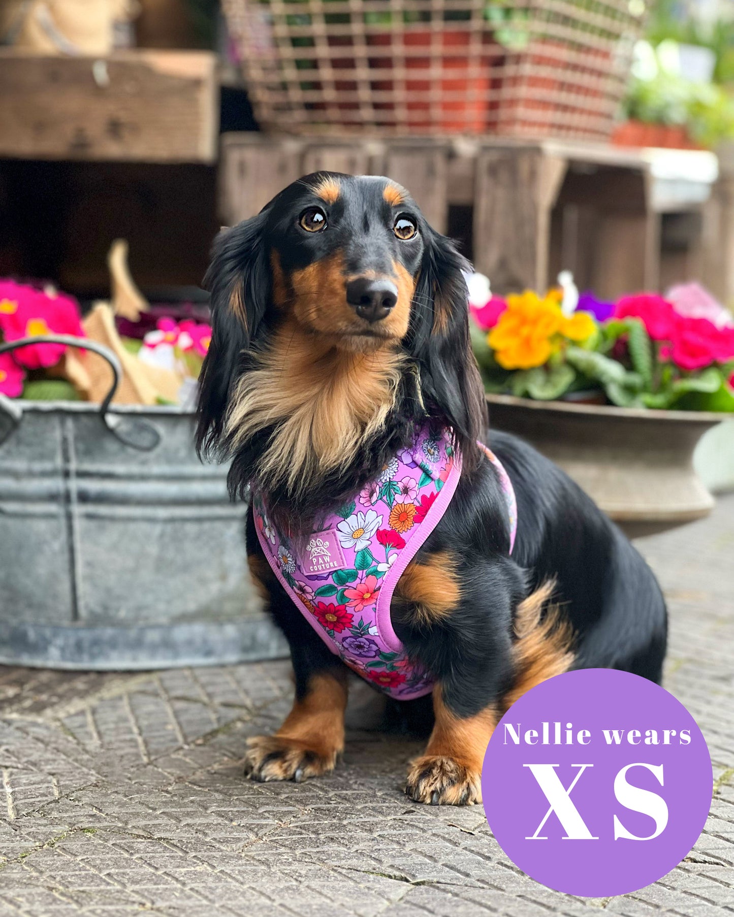 Blossom Adjustable Harness