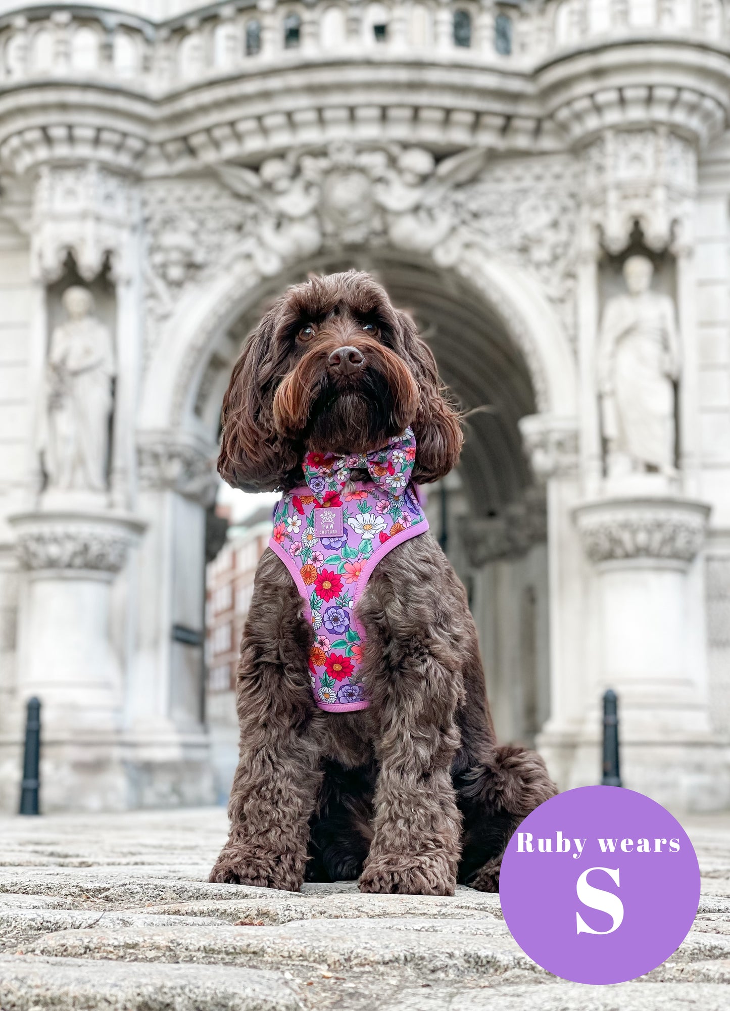Blossom Adjustable Harness
