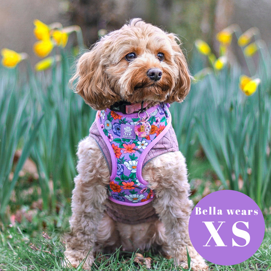 Blossom Adjustable Harness